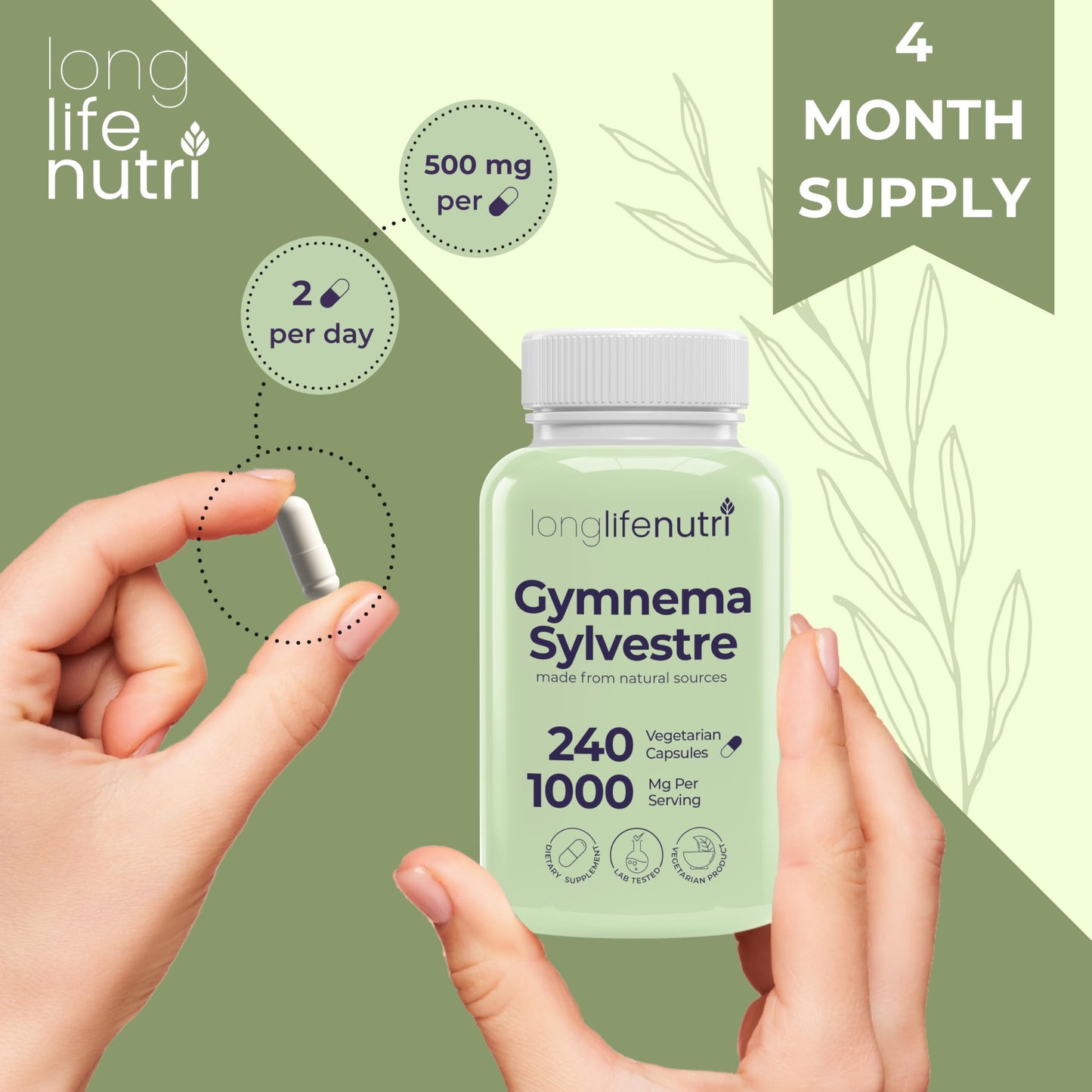 LongLifeNutri Gymnema Sylvestre 1000mg Organic 20:1 Leaf Extract, 240 Capsules