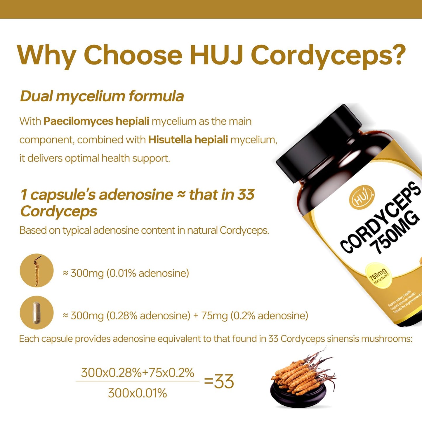 HUJ Cordyceps Mushroom Capsules - Cordyceps Supplement with Dual Mycelium - Kidney Health, Immune Health & Energy Support, 60 Capsules