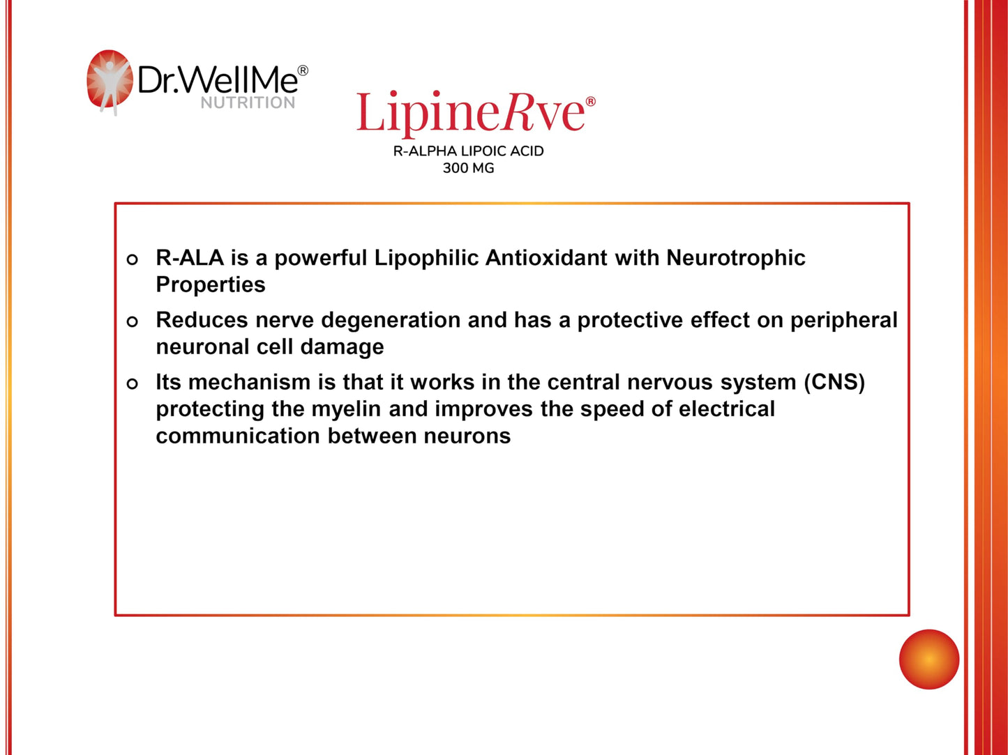 DR WELLME NUTRITION Lipinerve R Alpha Lipoic Acid 300mg Capsules, 30 Count