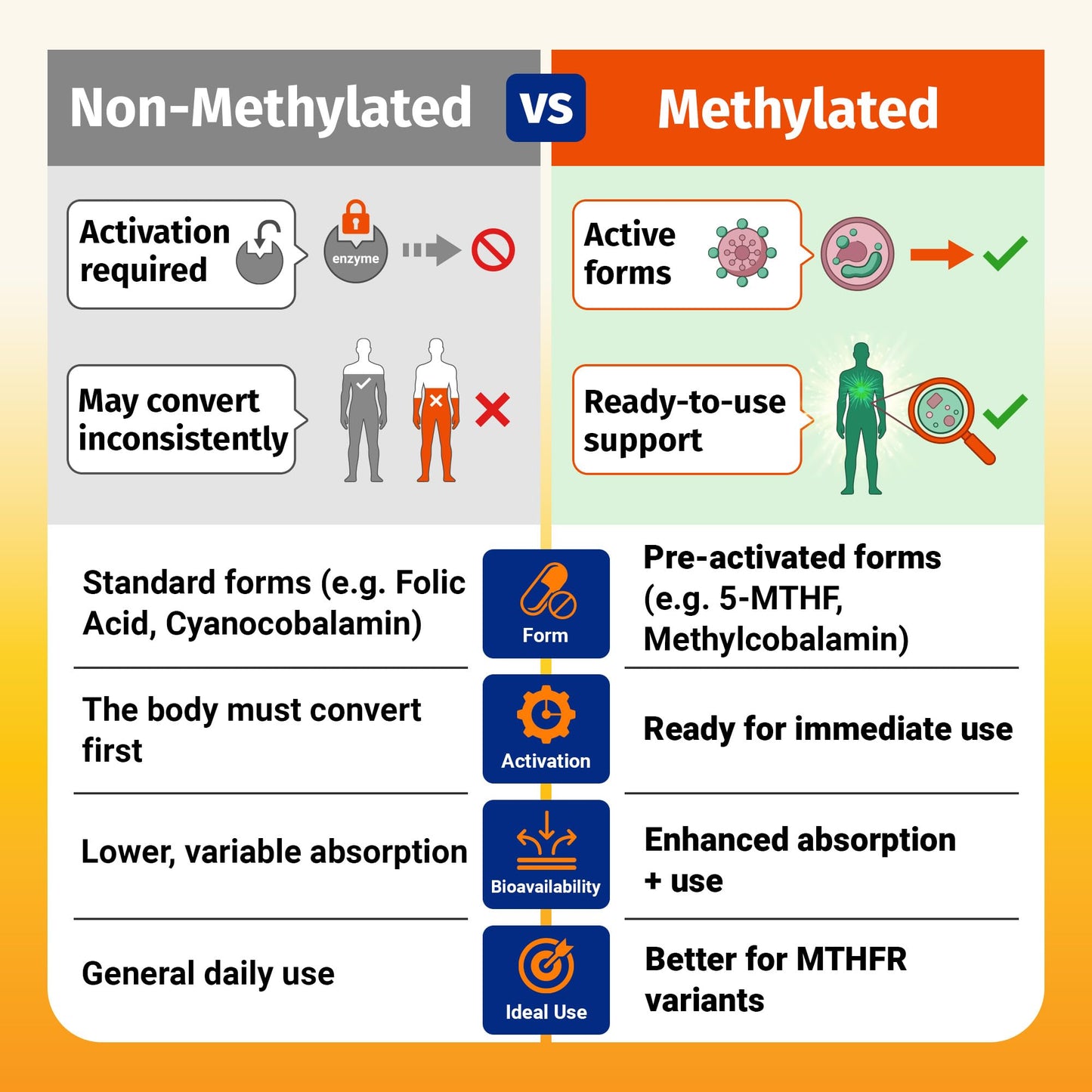 1 Body Methylated B Complex, 5-MTHF Folate & Methyl B12 Capsule, 120 Count