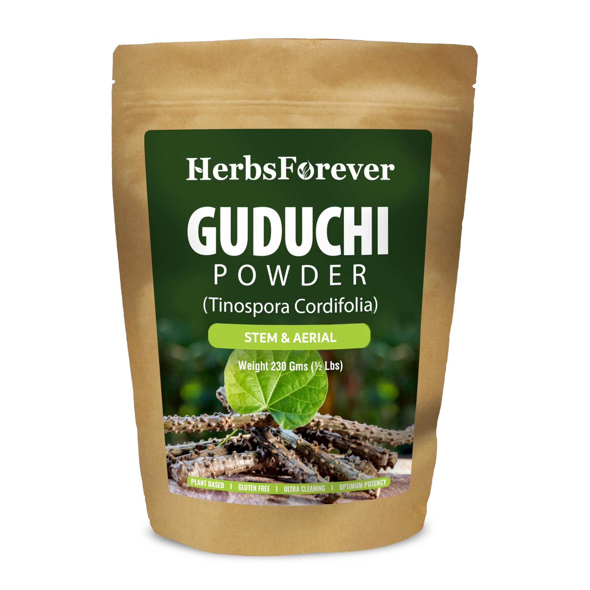 Herbsforever Guduchi (Tinospora Cordifolia) Powder, Ayurvedic Herbal Supplement, 8.11 oz