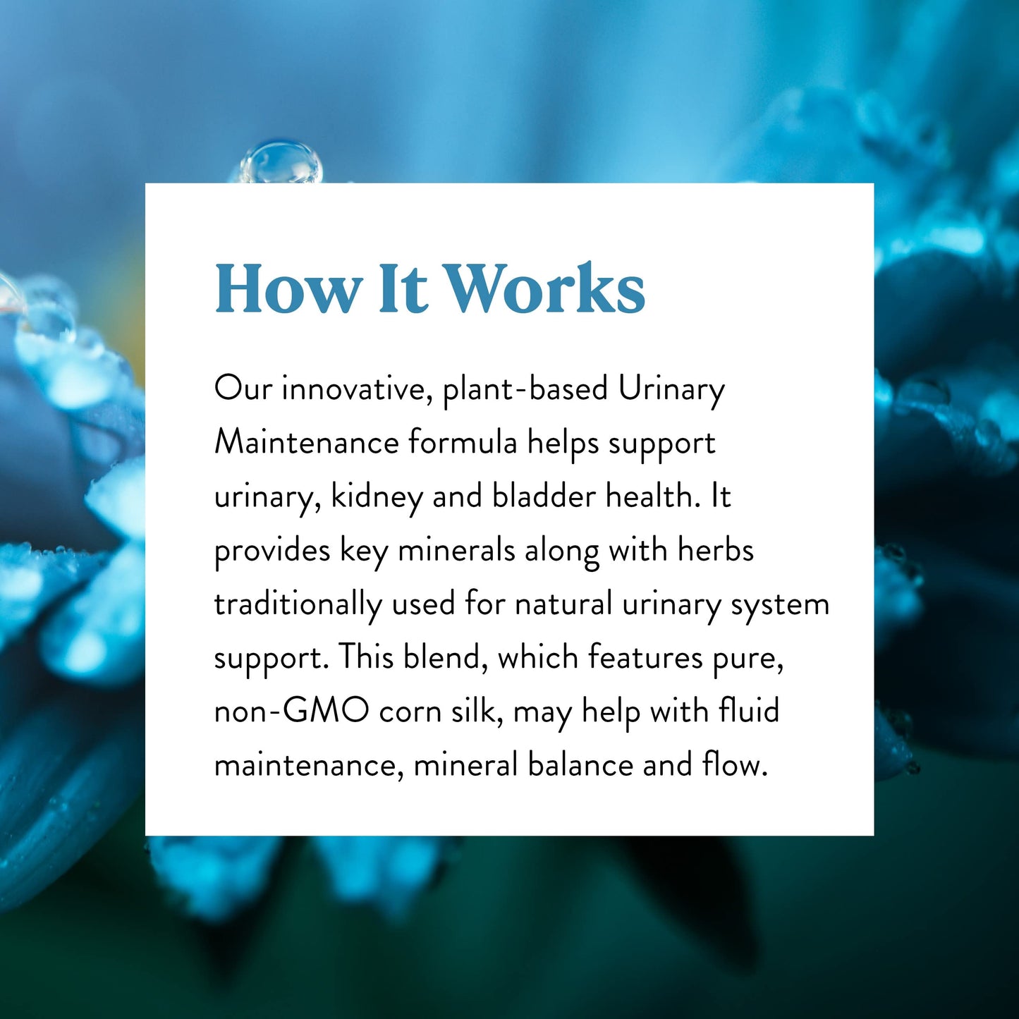 Nature's Sunshine Urinary Maintenance Capsules 120