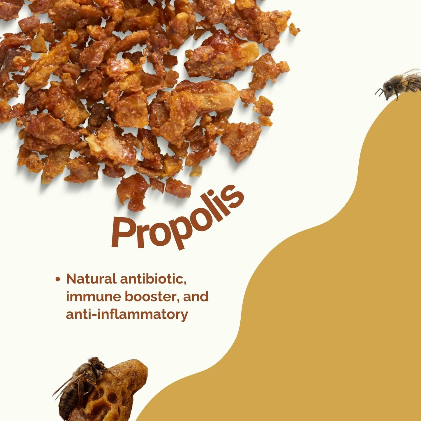 afye Saw Palmetto Prostate Supplement for Men with Propolis Extract & Horsetail, Capsules, 90 Count