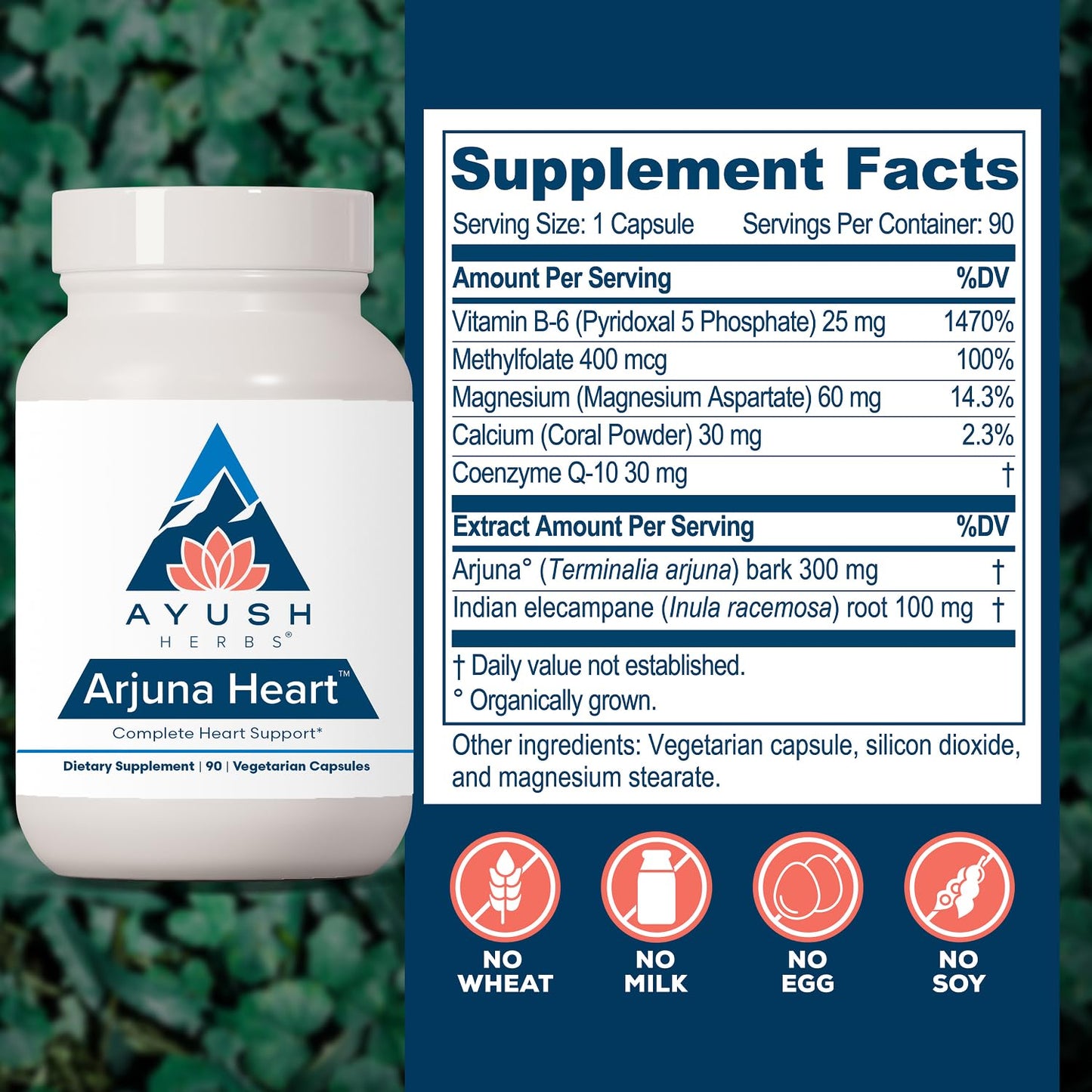 Ayush Herbs Arjuna Heart Capsules 90 Count