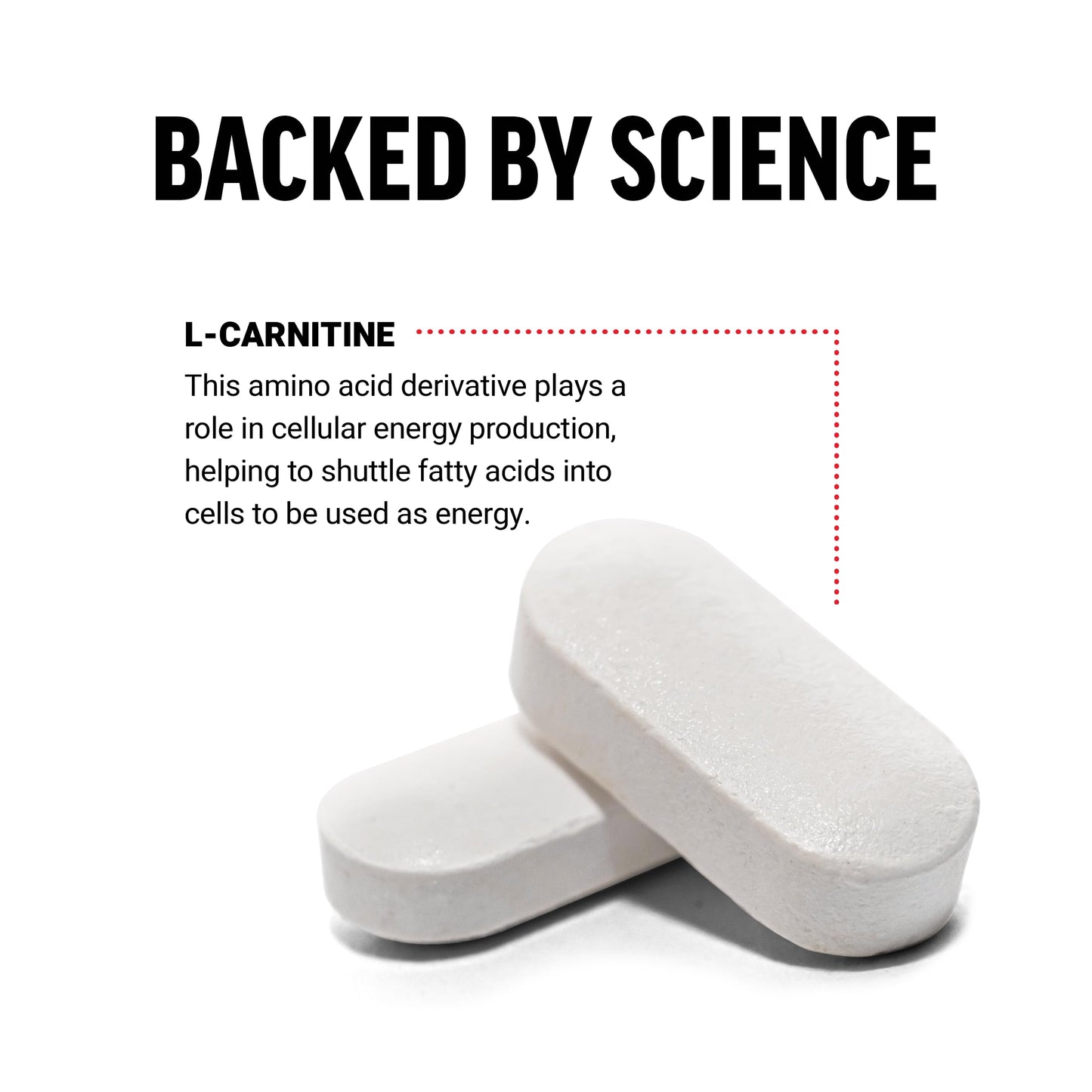 Force Factor L-Carnitine Tartrate 1000mg, 90 Tablets