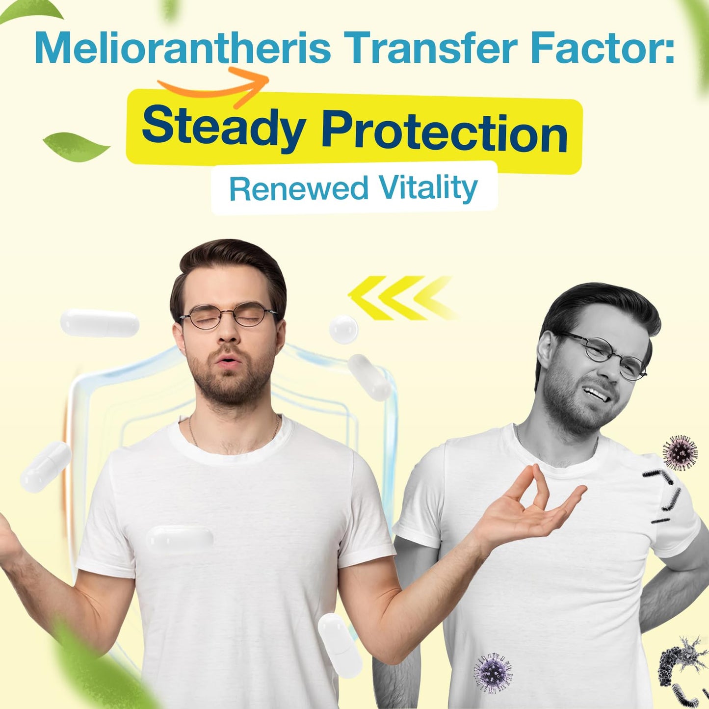 Meliorantheris Transfer Factor 1800mg Colostrum & Egg Yolk Extracts with Zinc and Selenium Immune & Cognitive Support Capsule 180 Count