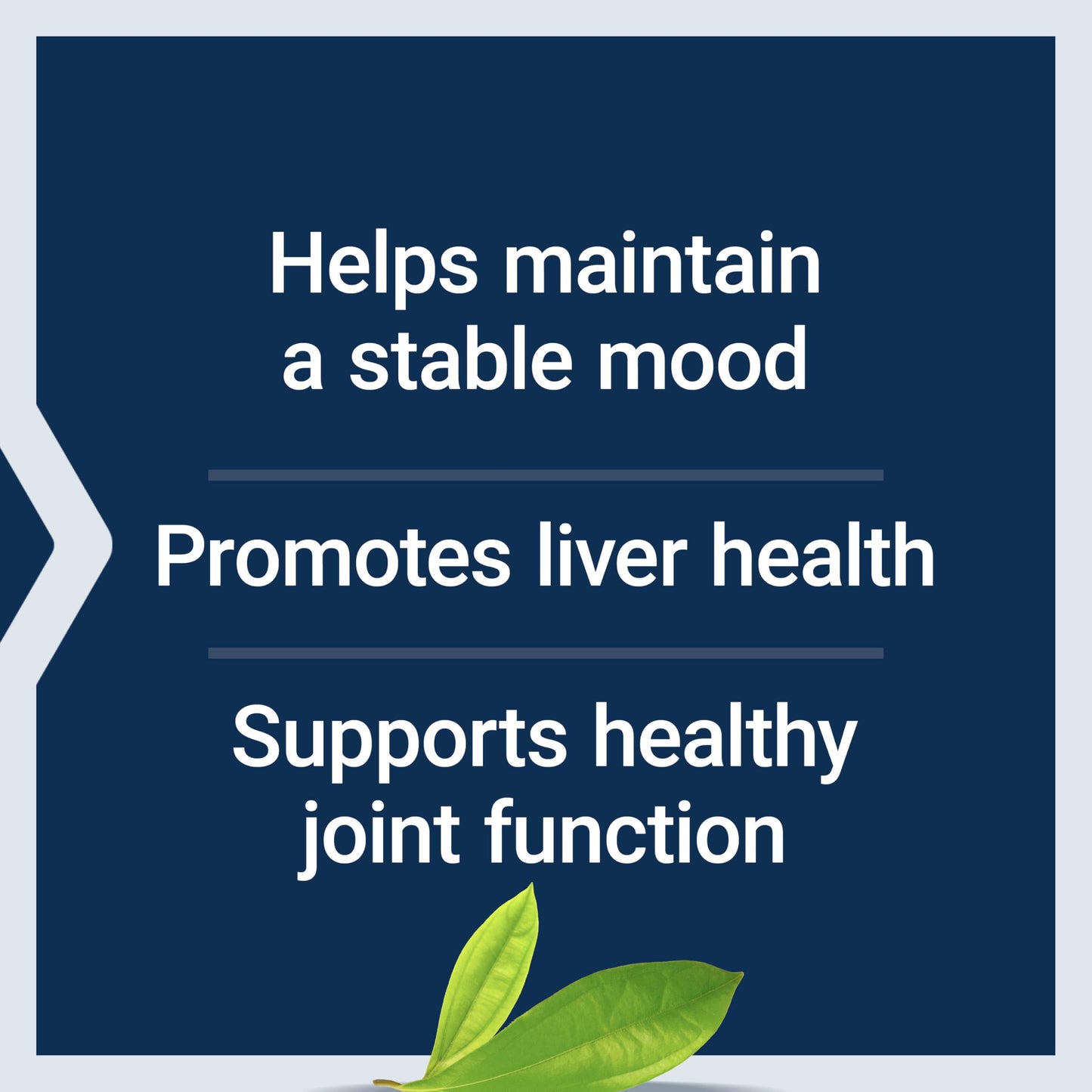 Life Extension Same, Mood, Joint & Liver Support 30 Tablets