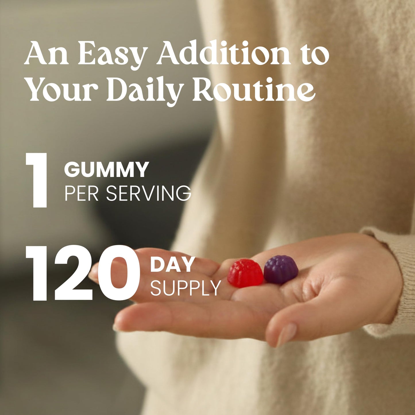 VITA GLOBE Prebiotic Fiber Gummies with FOS Inulin, Sugar Free, Non-GMO, 120 Gummies