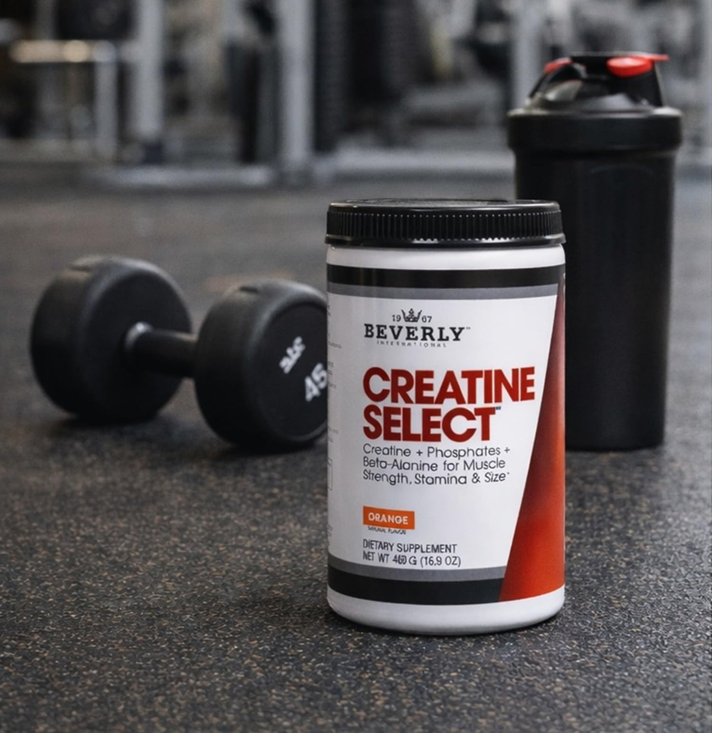 Beverly International Creatine Select with Phosphates Powder 16.9 oz