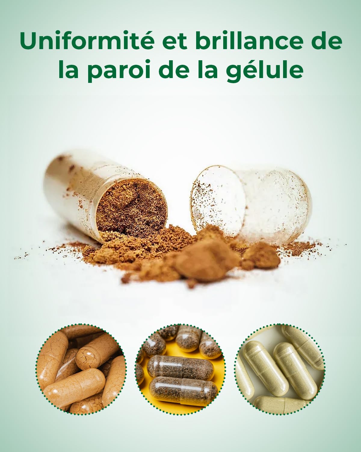 MéipaLien HPMC Empty Capsules 100 Capsules