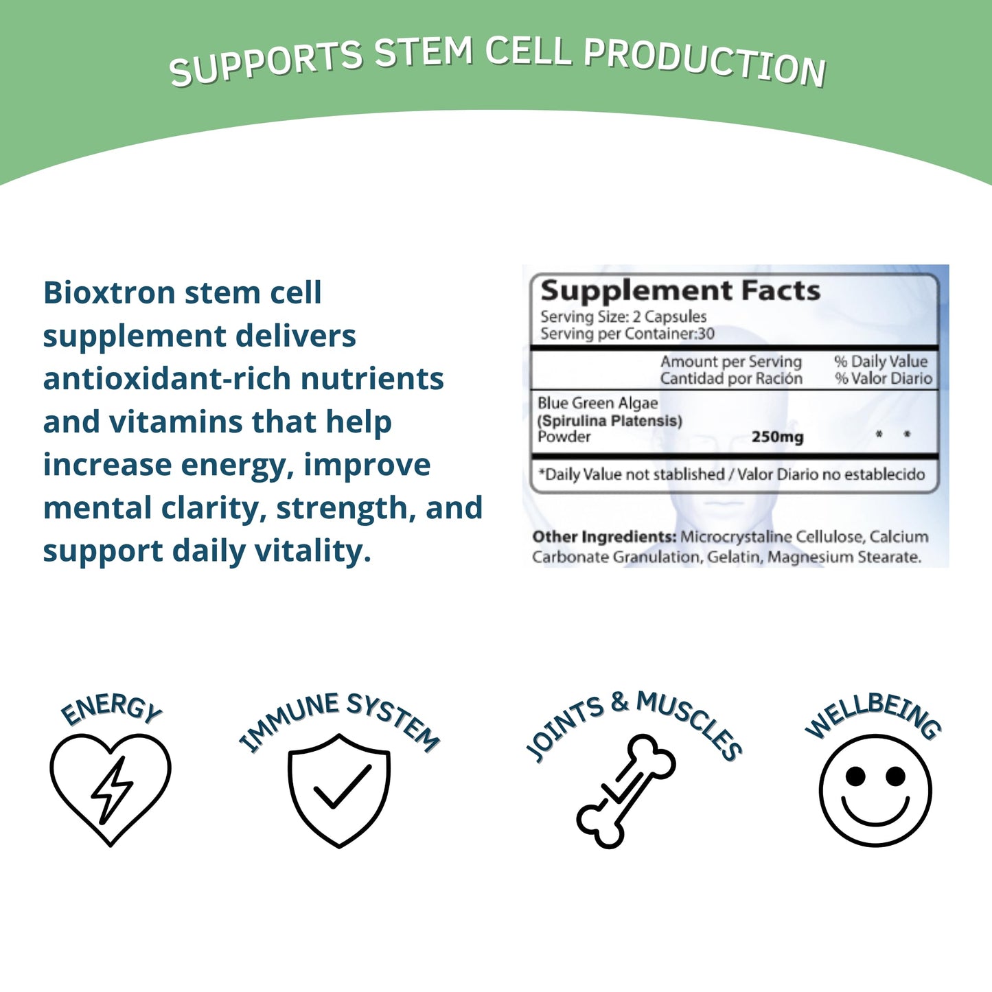 Bioxtron Natural AFA Stem Cell Supplement 120 Capsules