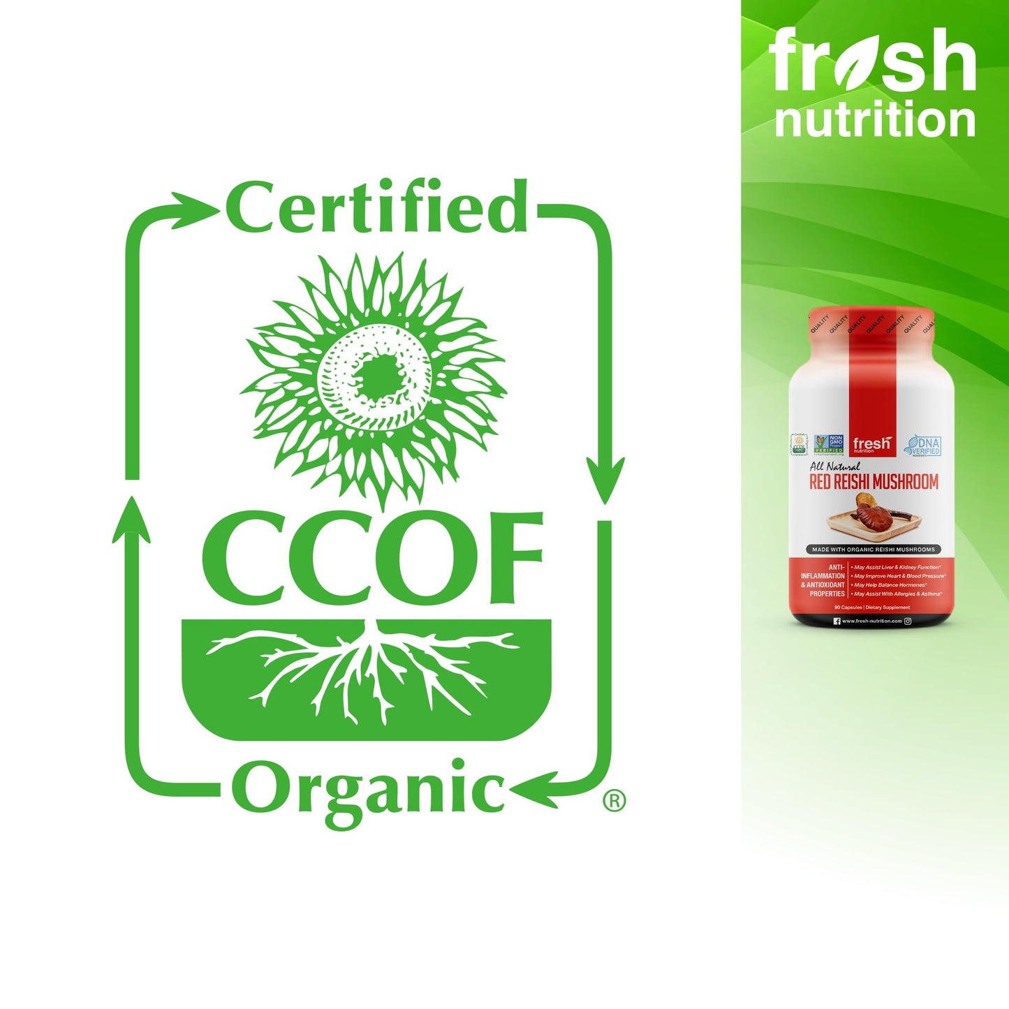 Fresh Nutrition Organic Reishi Mushroom Capsules 90 Capsules