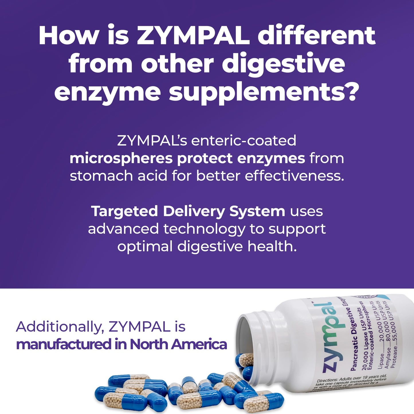 ZYMPAL Digestive Enzymes 20,000 Lipase USP Units - Digestive Health Support Capsules, 50 Capsules