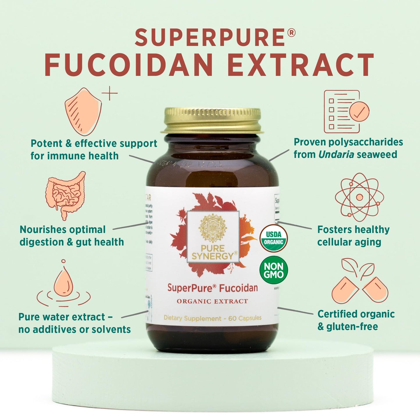 PURE SYNERGY SuperPure Fucoidan Extract 60 Capsules