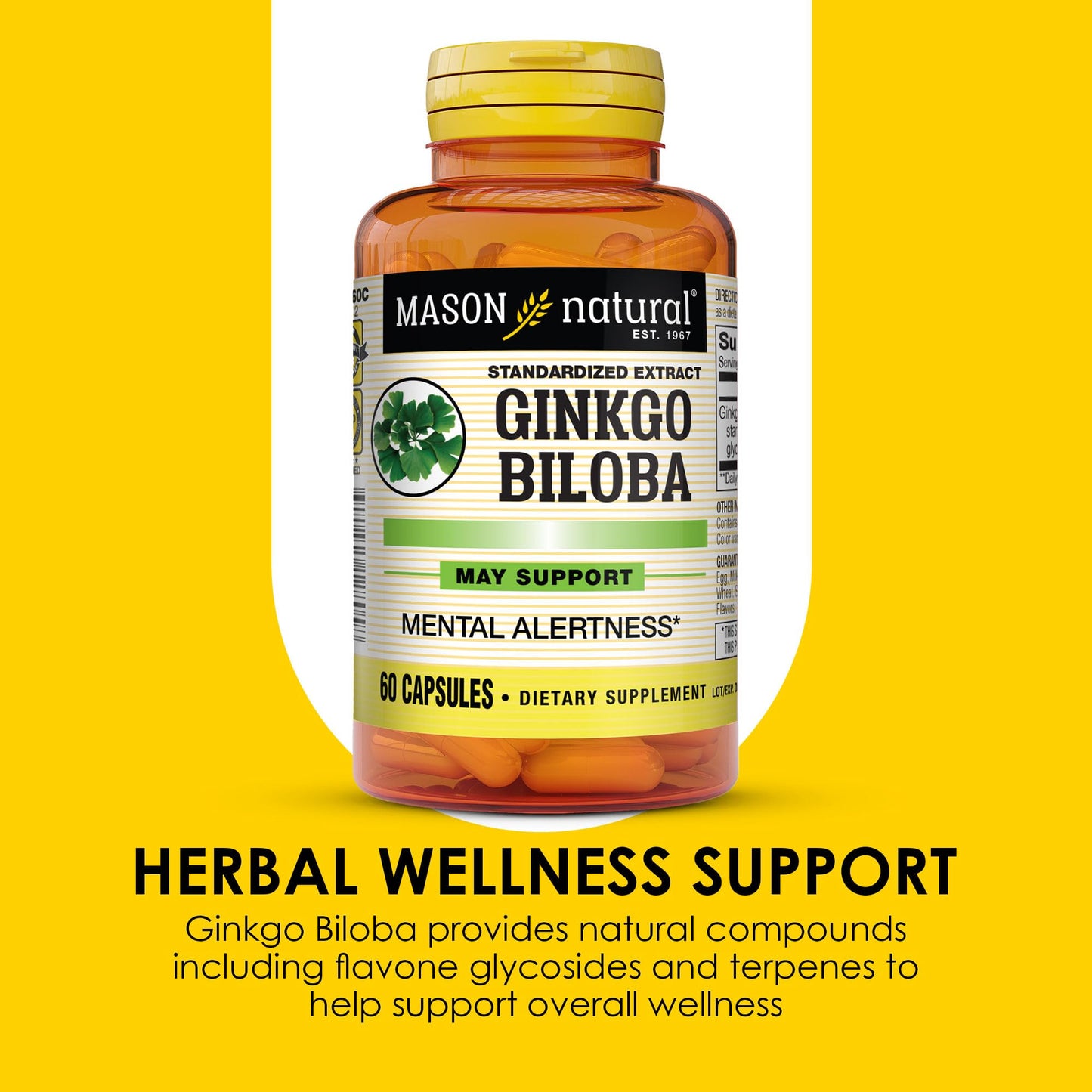 Mason Natural Ginkgo Biloba Capsule, 60 Count