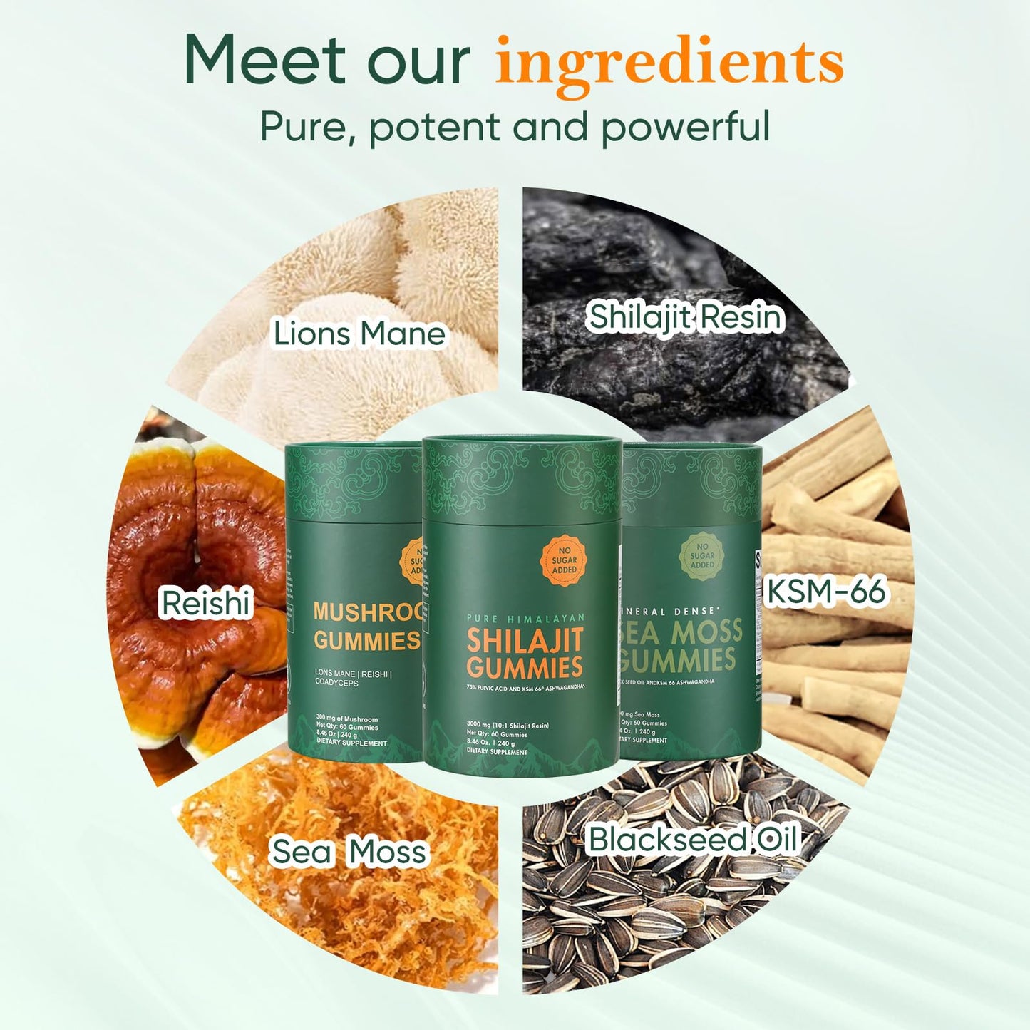 Xuore Shilajit, Sea Moss & Mushroom Gummies with Lions Mane, Reishi, Cordyceps, Ashwagandha, 75%+ Fulvic Acid, 92+ Minerals All in 1 Supplements, Gummy, 1 Count