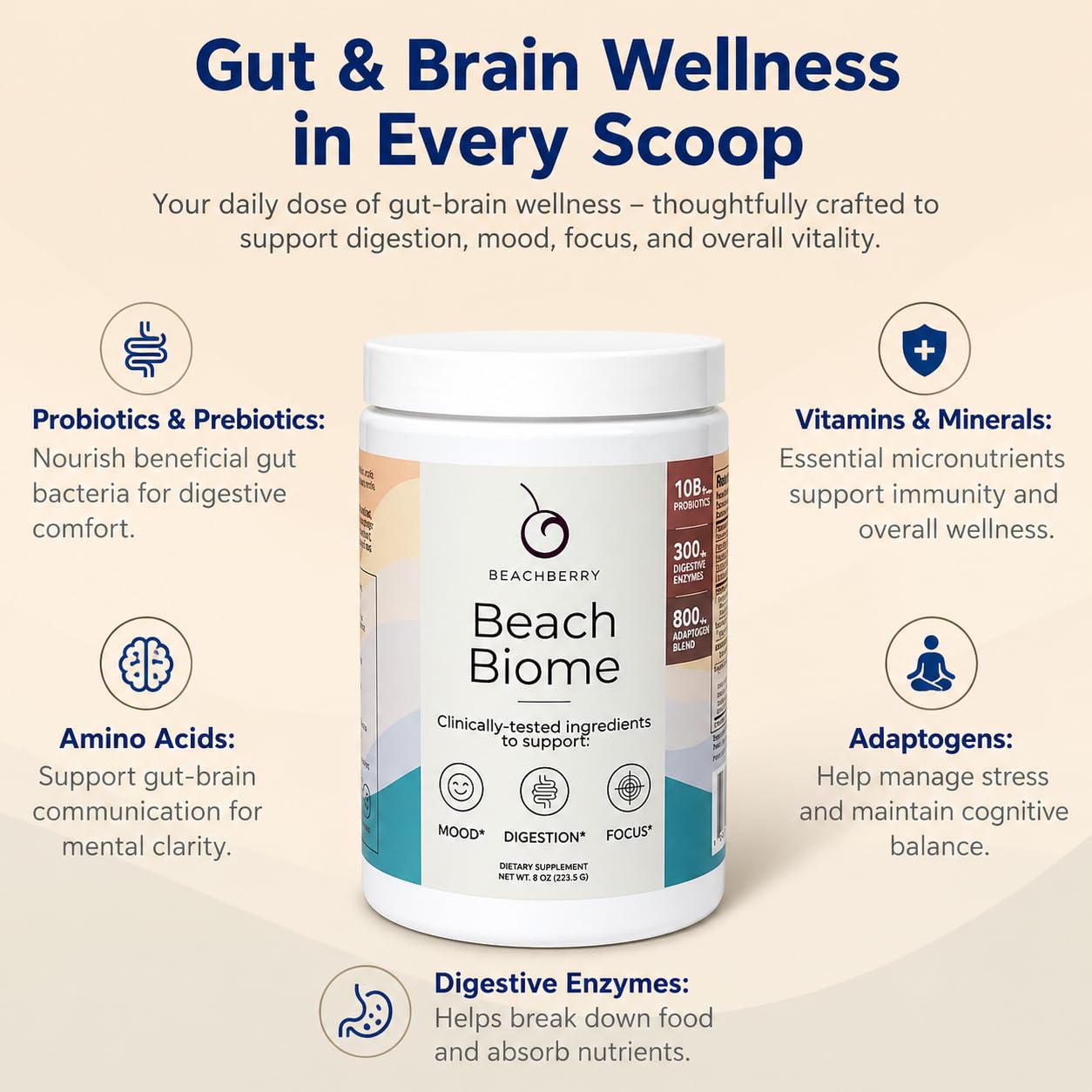 Beachberry BeachBiome Gut Health & Brain Support Daily Powder – Digestive & Cognitive Balance, 30 Servings
