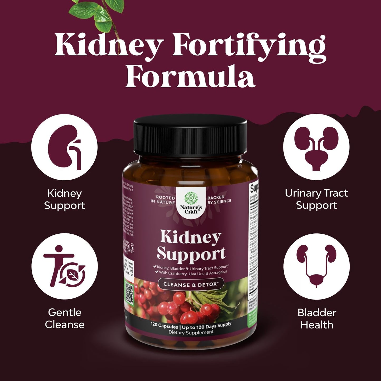 Natures Craft Advanced Kidney Cleanse Support Cranberry Supplement Capsule, 120 Count