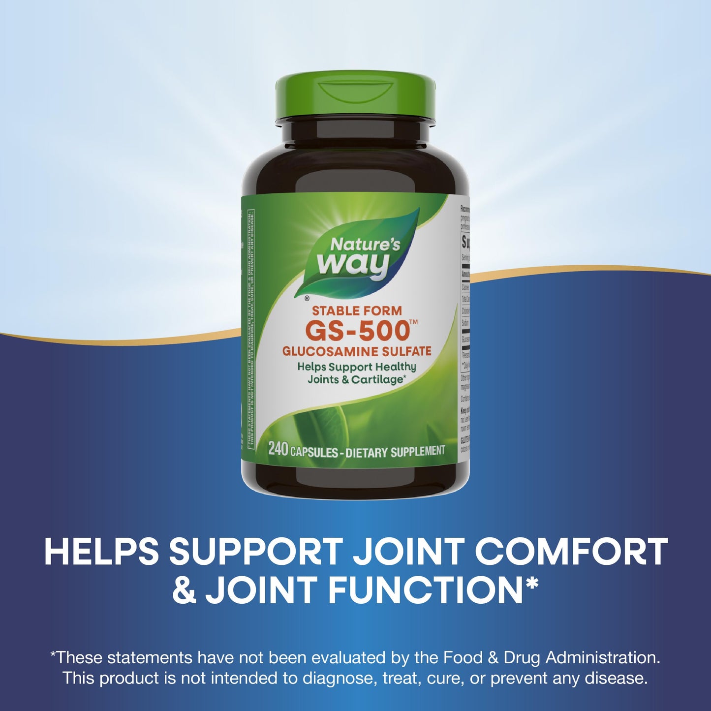Nature's Way GS-500 Glucosamine Sulfate Capsule, 240 Capsules