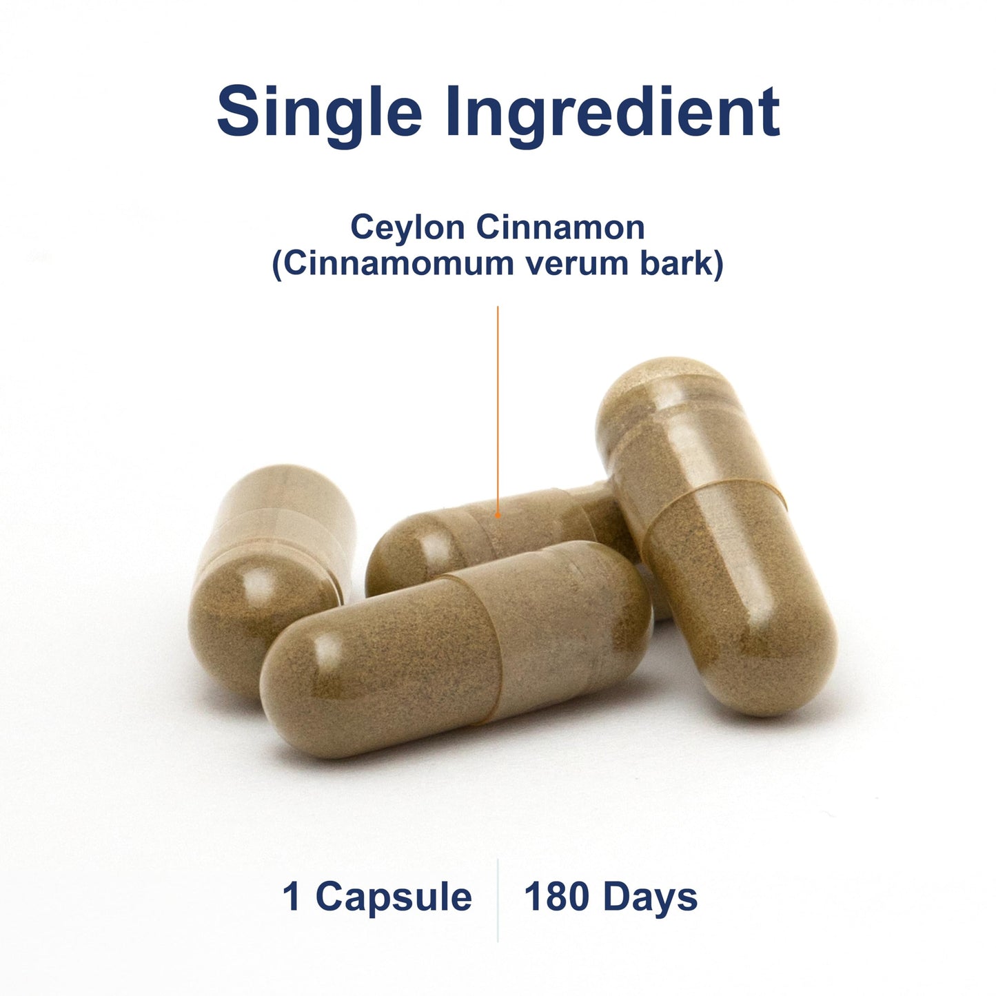 Carlson Ceylon Cinnamon Capsules 180 Count