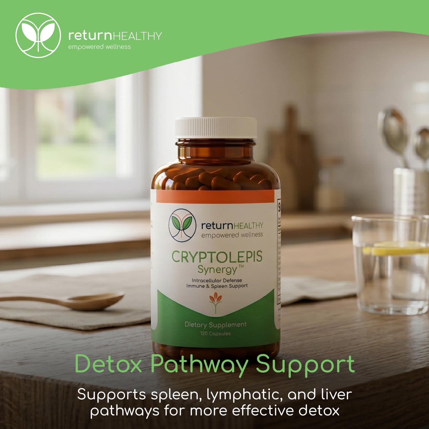 Return Healthy Cryptolepis Synergy Capsules, 360 Count