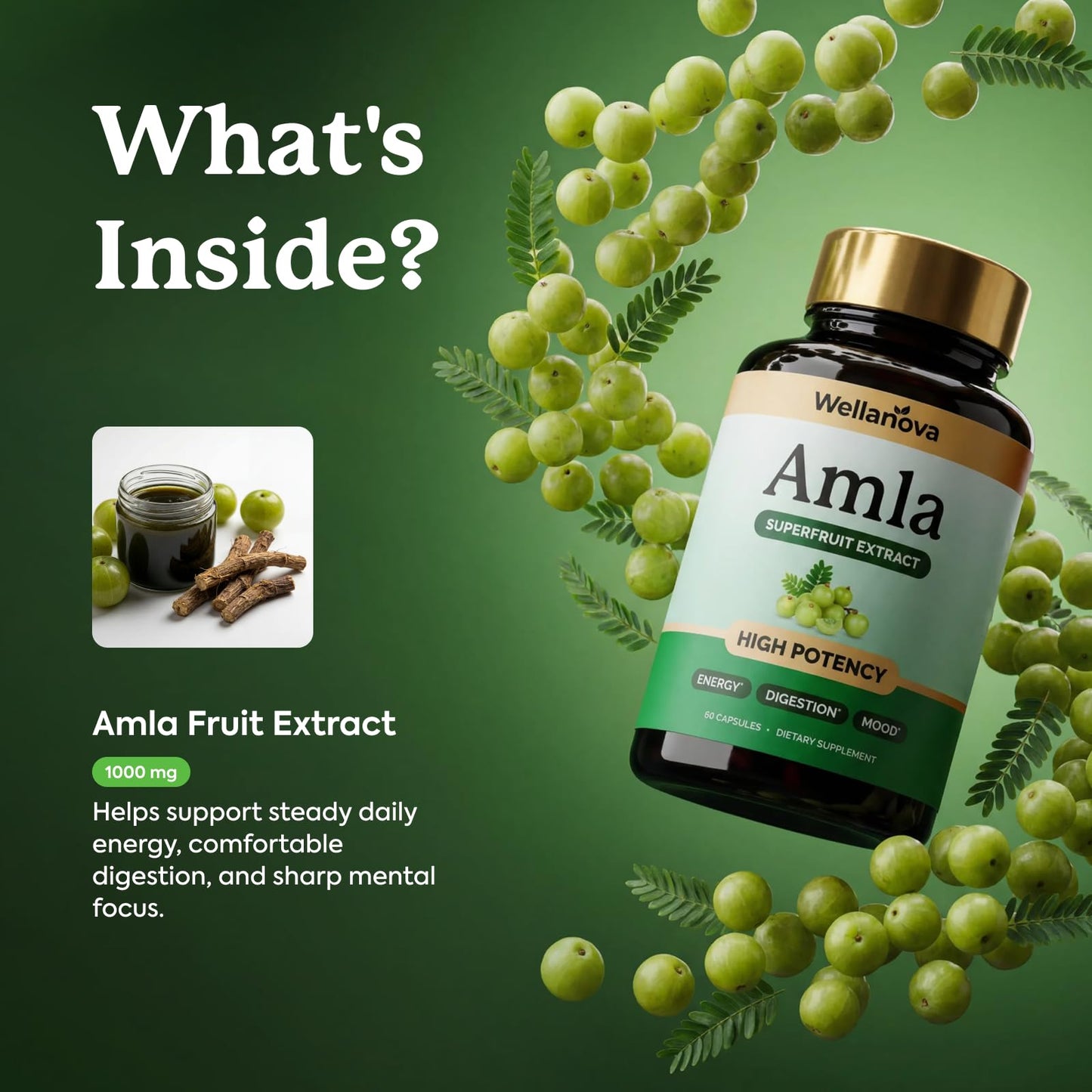 Wellanova Amla 1000mg - Amla Superfruit Extract, 60 Capsules