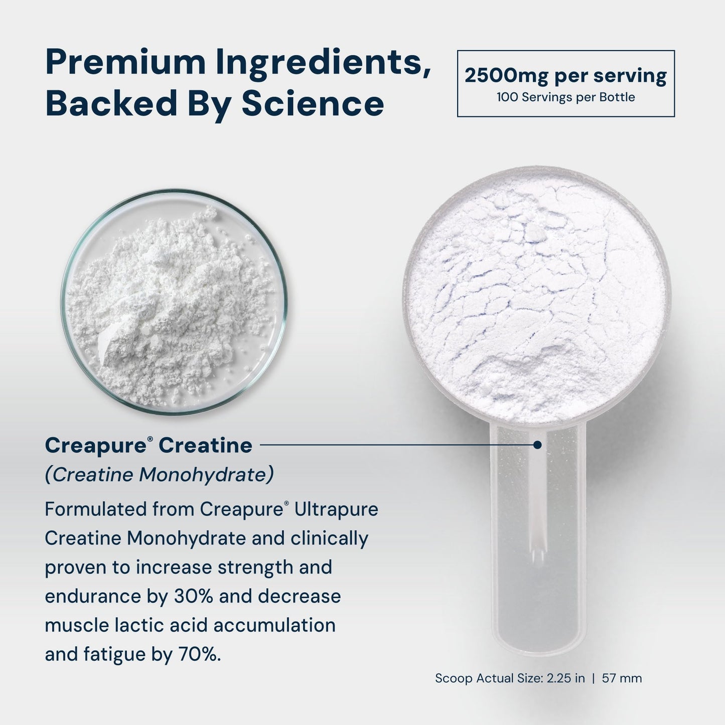 HPN C2 Creatine Monohydrate Powder 8.75 Ounce