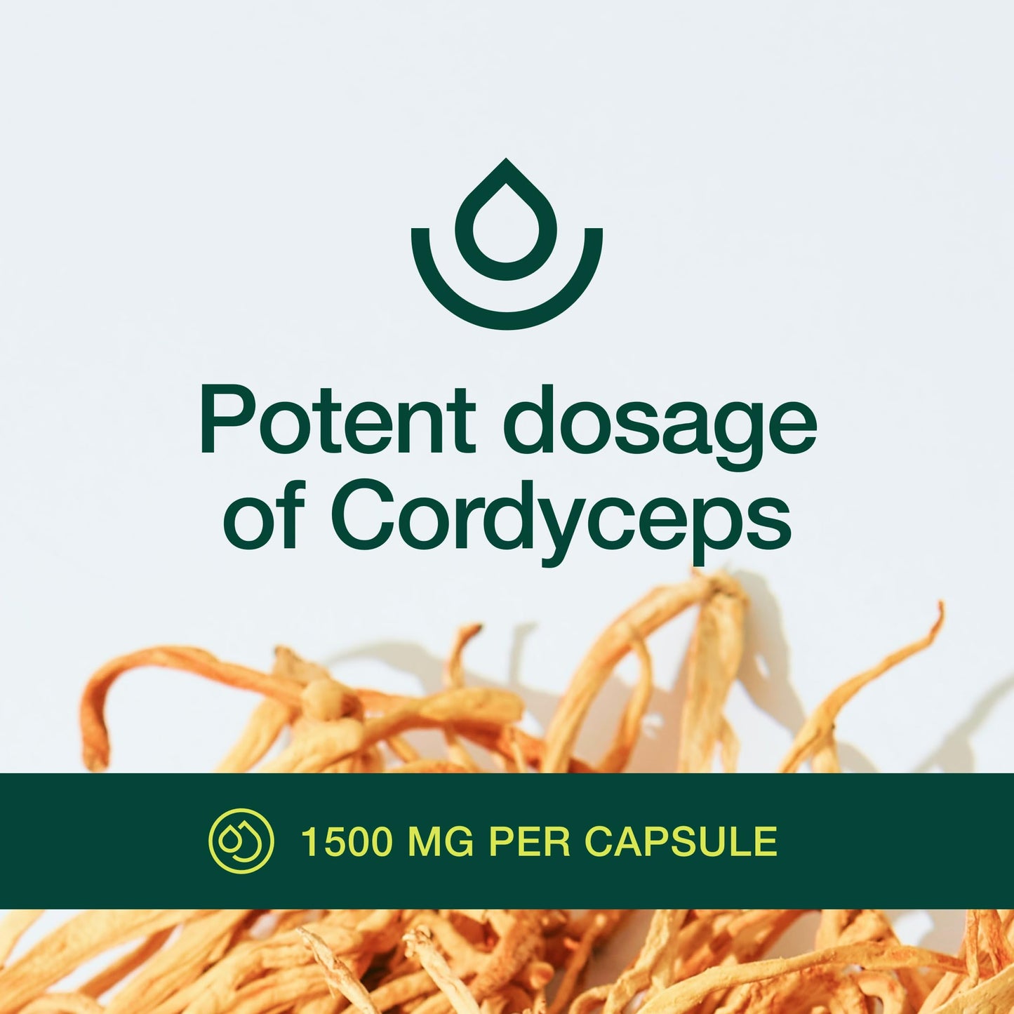 Fresh Nutrition Organic Cordyceps Capsules 90 Count