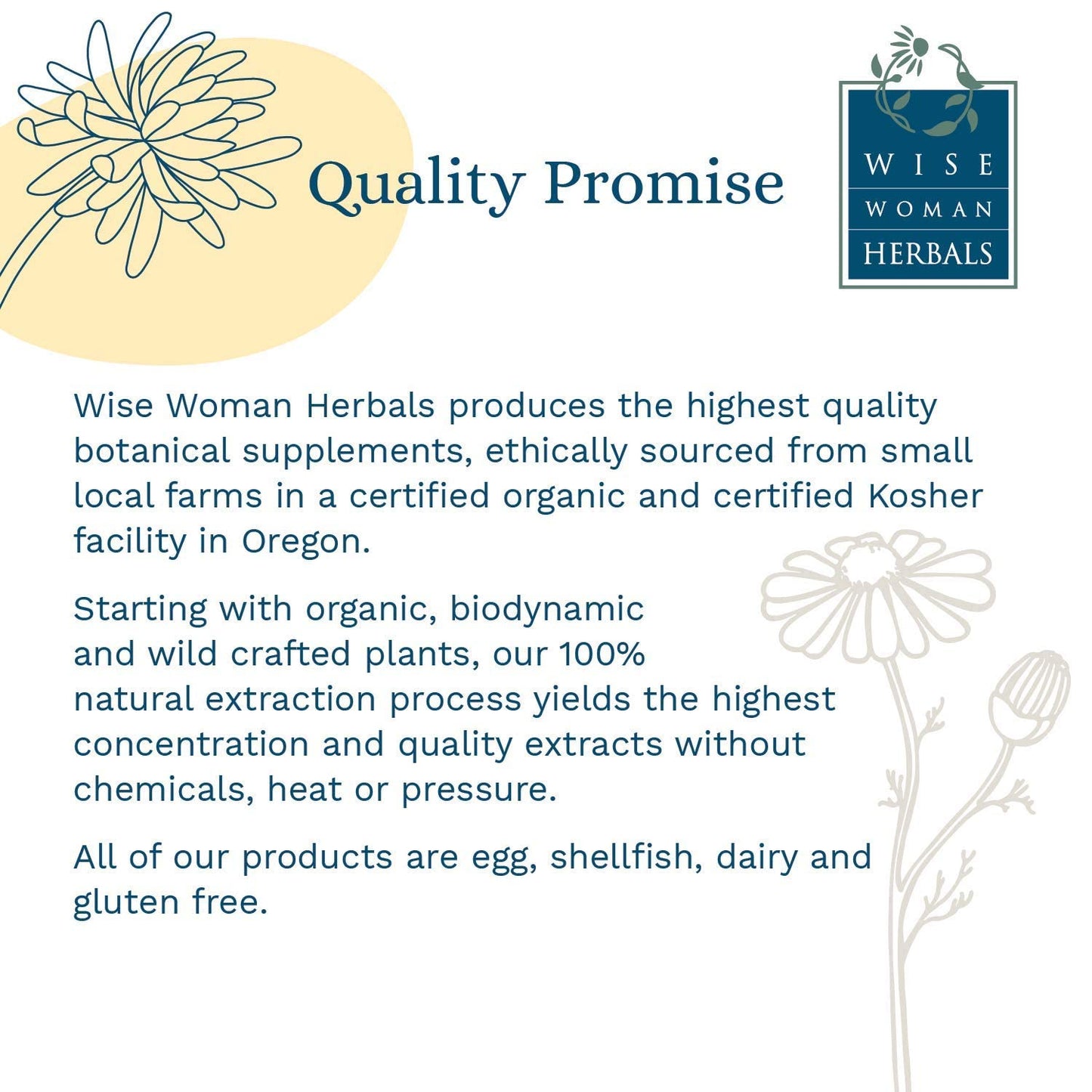 Wise Woman Herbals Fiber Flow Capsules 120 Count