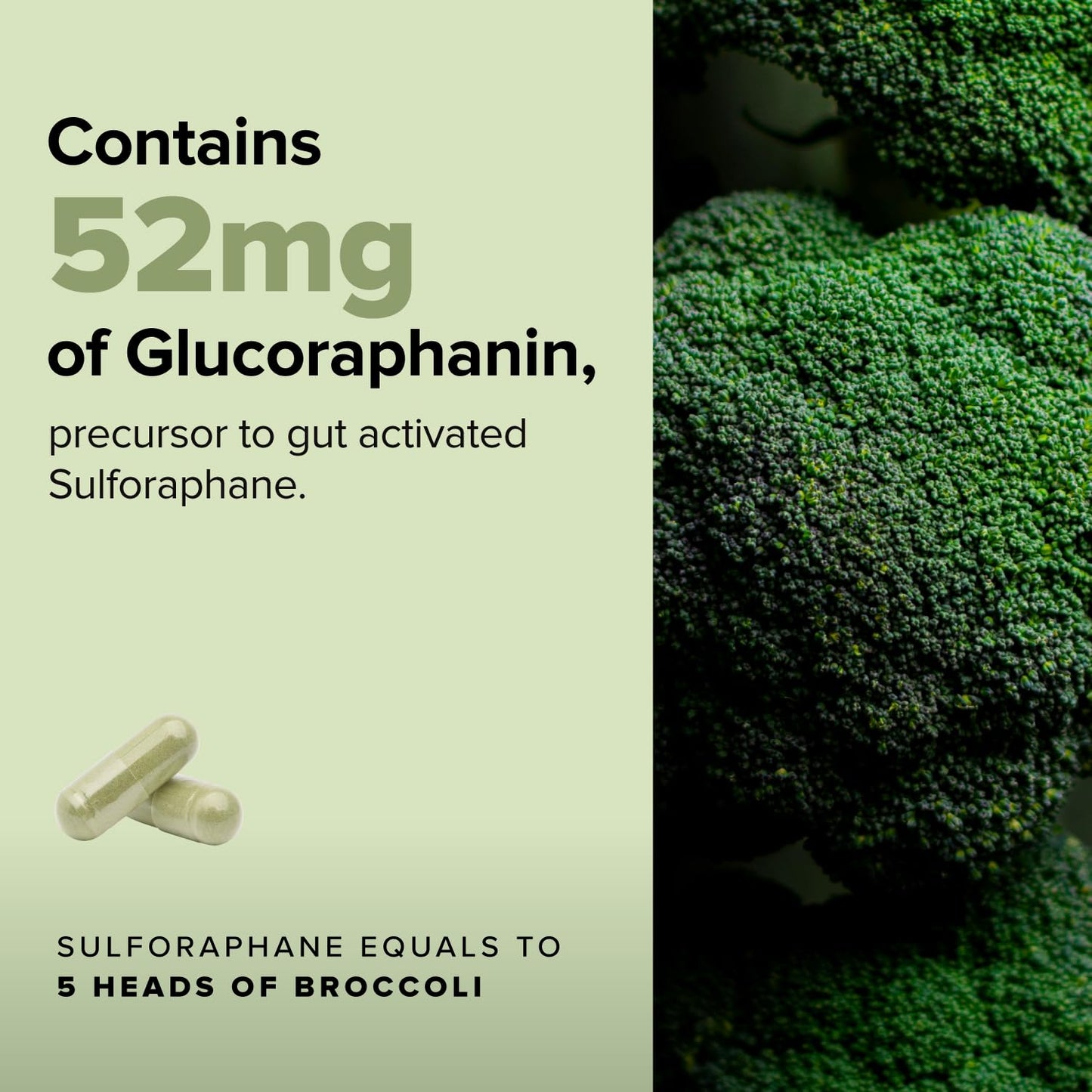 Complement Sulfora Sulforaphane Supplement with Myrosinase - 52mg Glucoraphanin from Broccoli Seeds, Kale & Quercetin - Antioxidant Detox & Immune Support, 60 Capsules