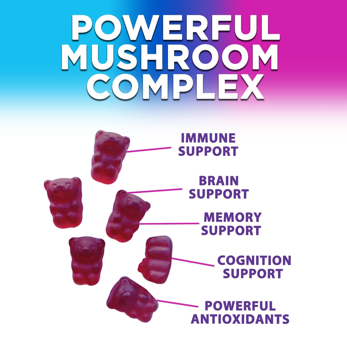 Nature's Nutrition Mushroom Gummies 12 in 1 Complex - Lions Mane, Reishi, Cordyceps & Chaga, Memory & Immune Support, Nootropic Brain Supplements, 60 Count