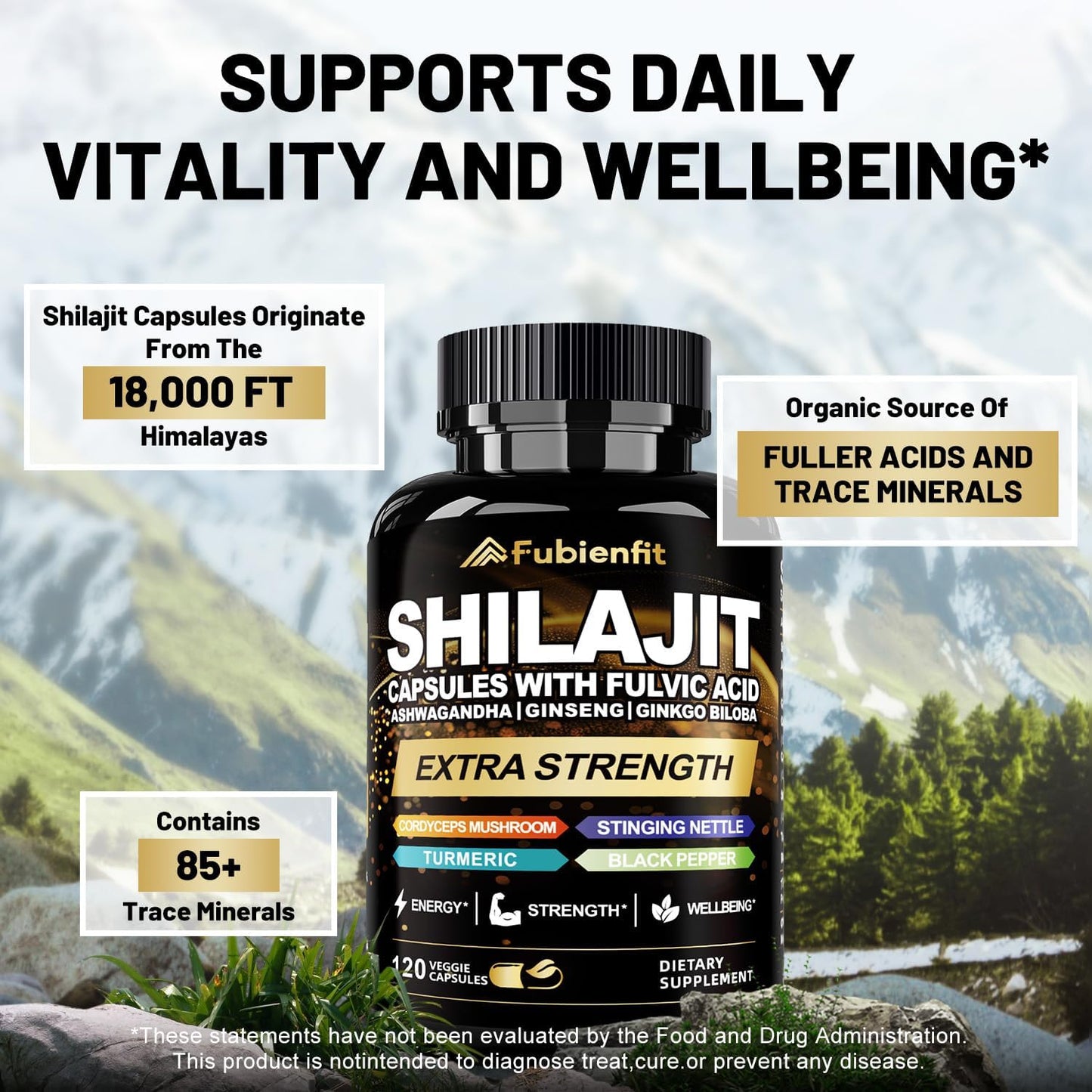 Fubienfit Premium Shilajit for Men 120 Capsules