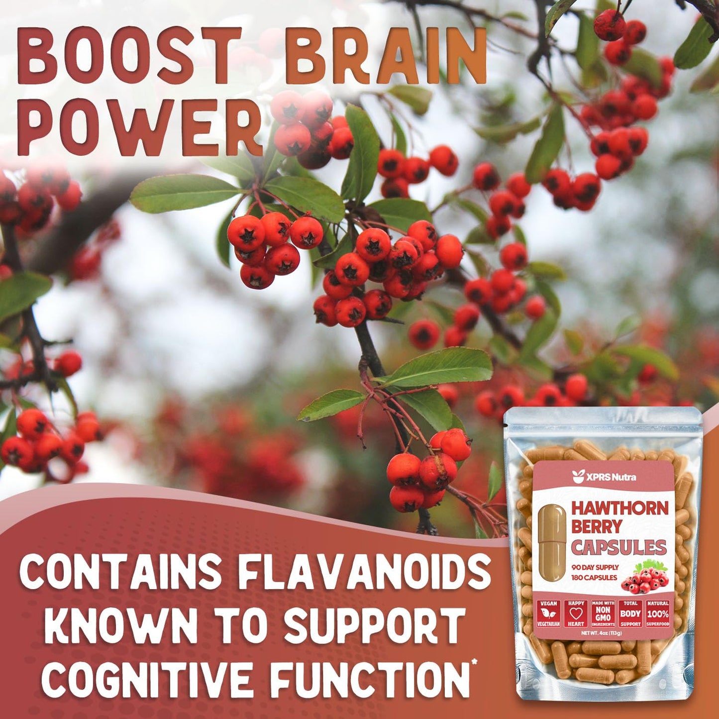 XPRS Nutra Hawthorn Berry Capsules, 180 Count