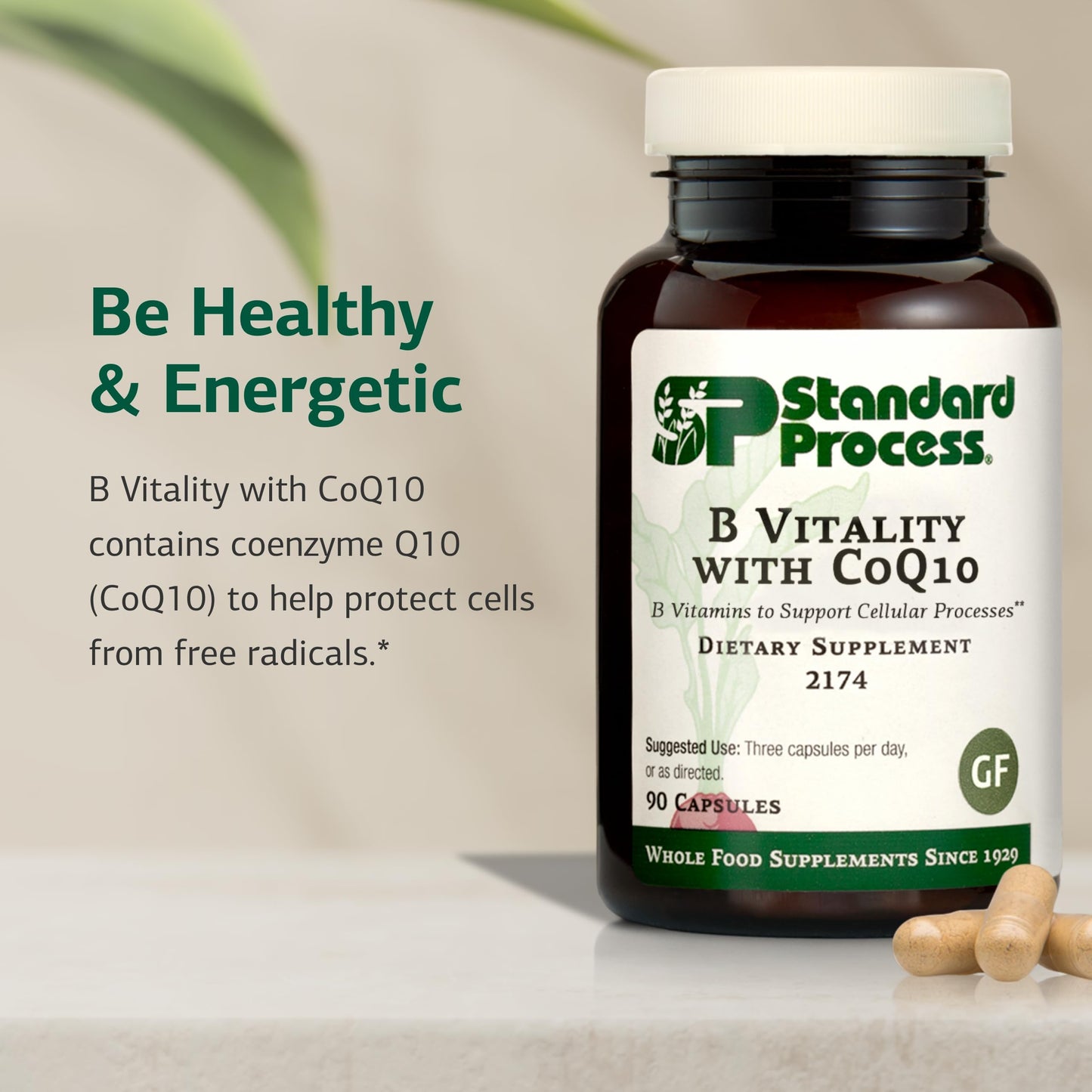 Standard Process Inc. B Vitality with Coq10 Capsules 90 Count