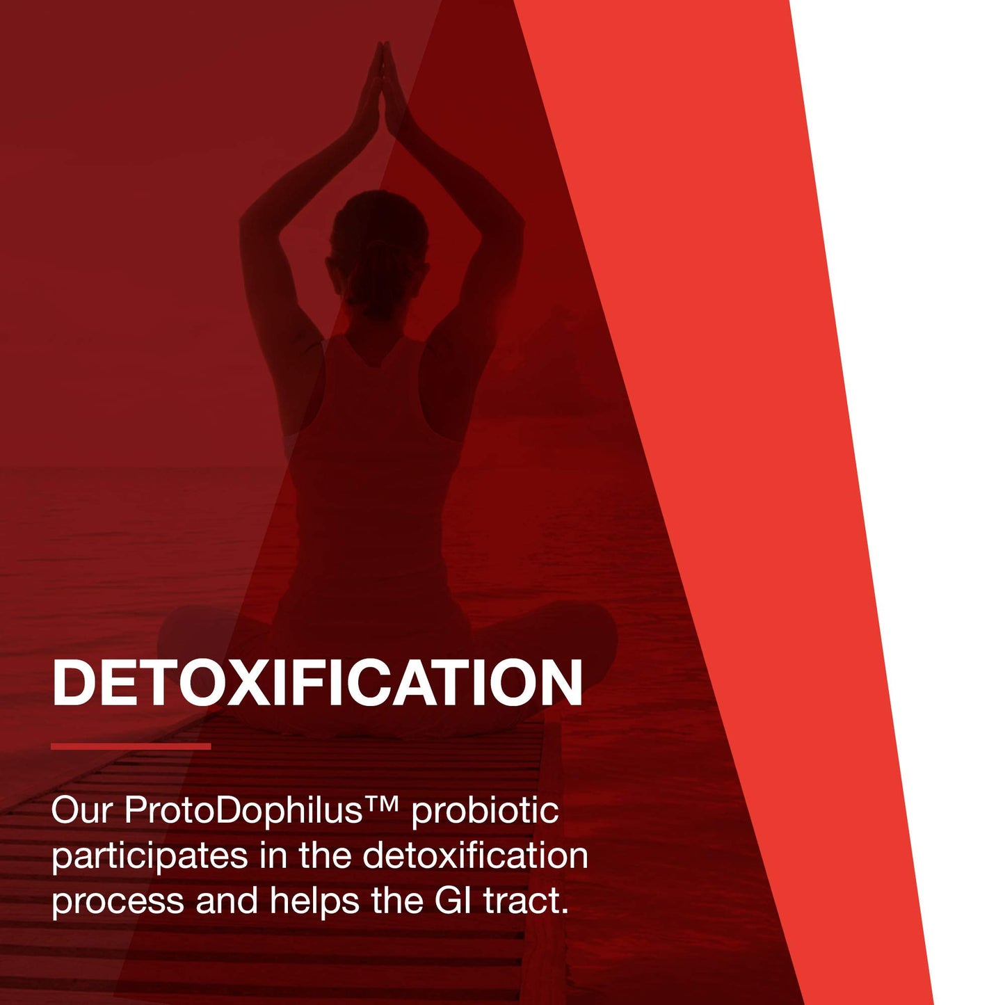 Protocol for Life Balance ProtoDophilus Capsules, 50 Count