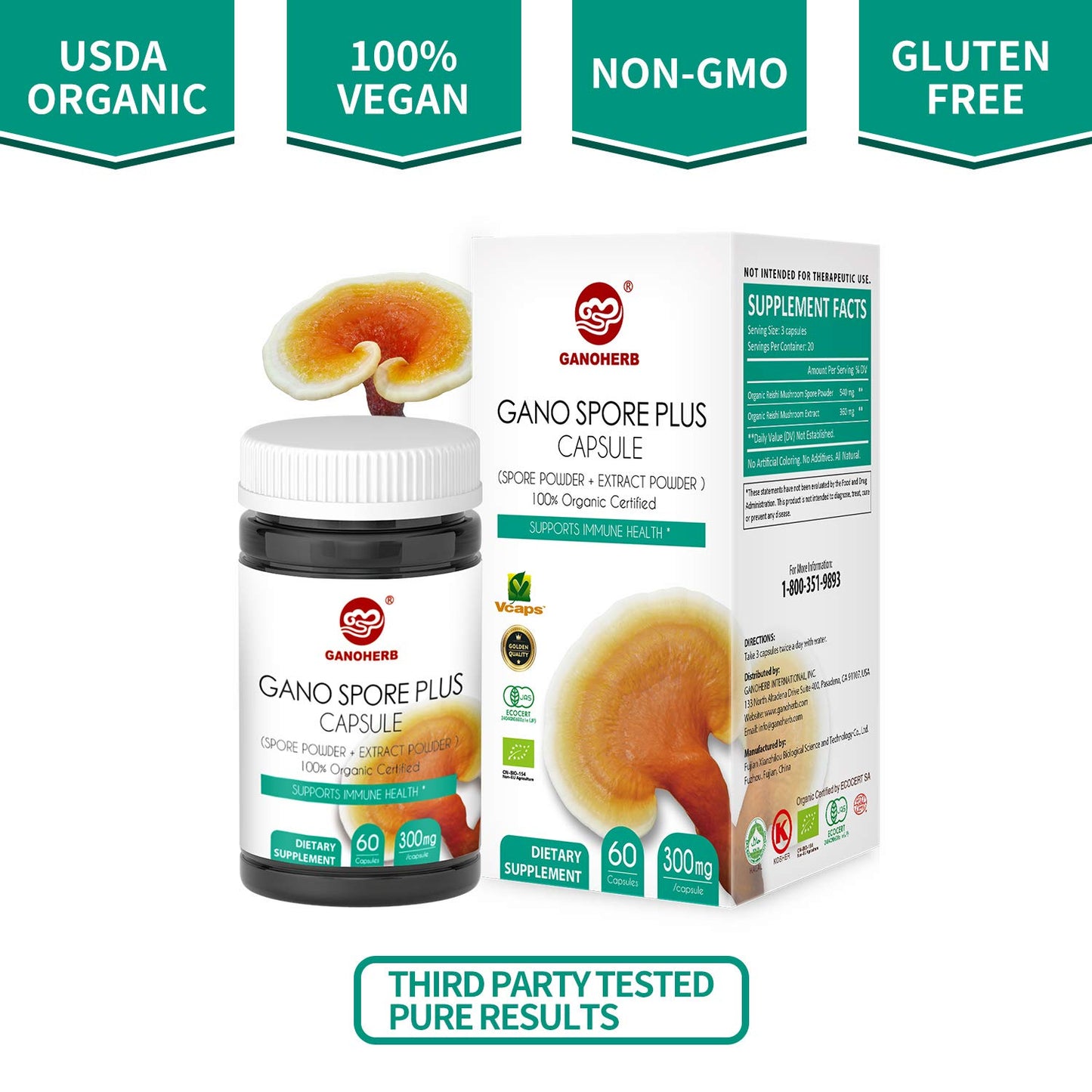 GANOHERB Organic Reishi Mushroom Spore Plus Capsules with 100% Ganoderma Lucidum Spore Powder+ Extract, Vegan, All Natural, Non-GMO & Gluten Free, 60 Capsules