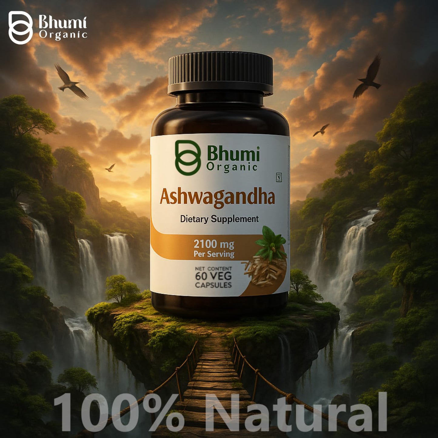 Bhumi Organic Ashwagandha Capsule 1 Count