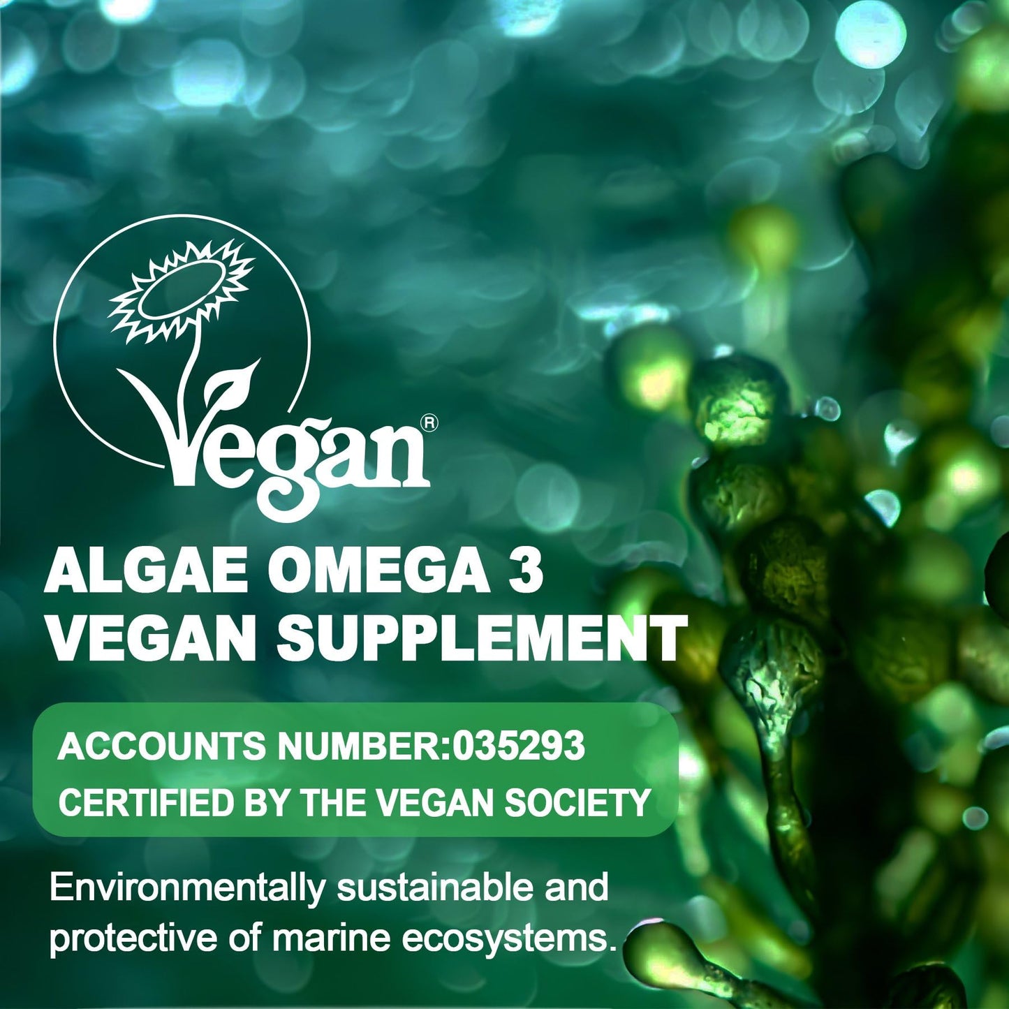 LILICARE Omega 3 Gummies from Algae Oil 2200mg (DHA 640mg & EPA 290mg), Vegan with CoQ10, Astaxanthin, Vitamin A, E, D3, Sugar Free, 120 Gummies