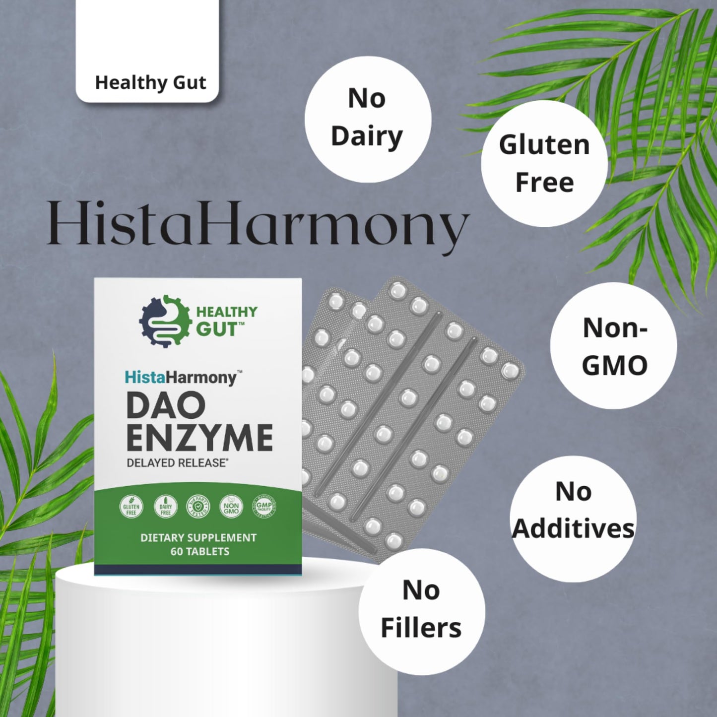 Healthy Gut HistaHarmony 60 Tablets and HoloZyme Digestive Enzymes 30 Capsules, 90 Count