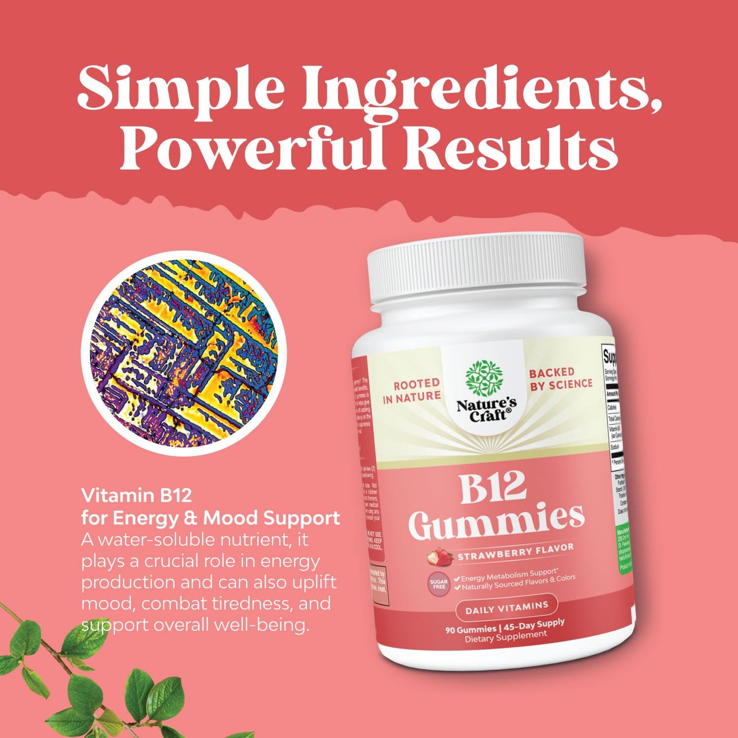 Natures Craft Vitamin B12 Gummies 90 Count