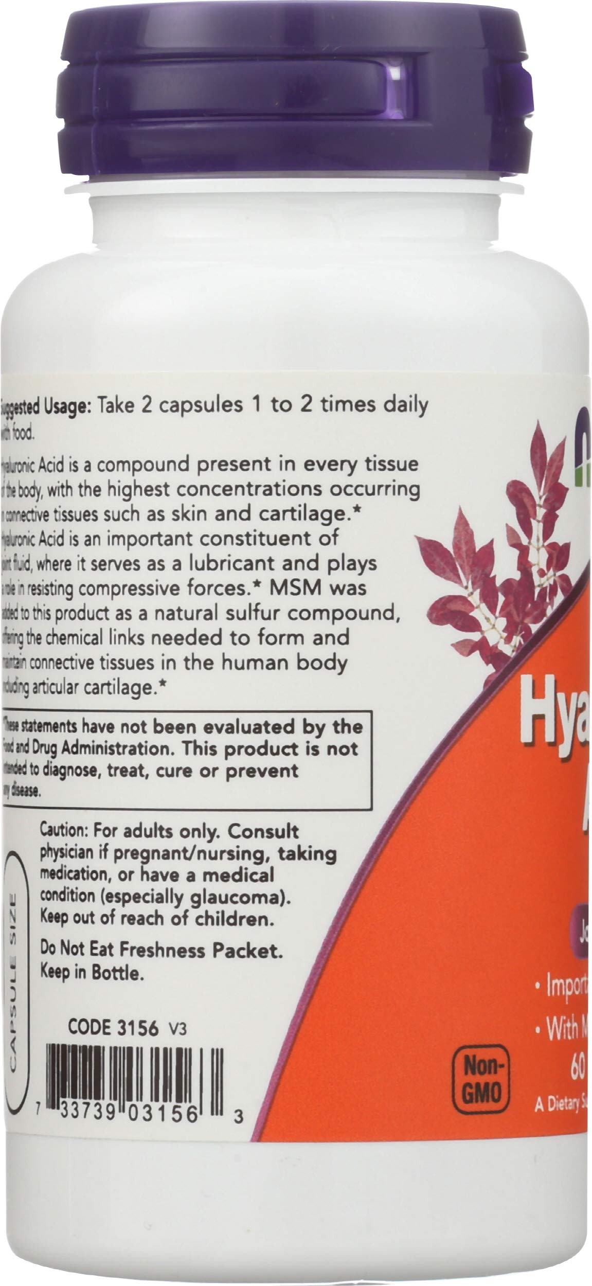 NOW Foods Hyaluronic Acid 50 mg + MSM Capsule 60 Count