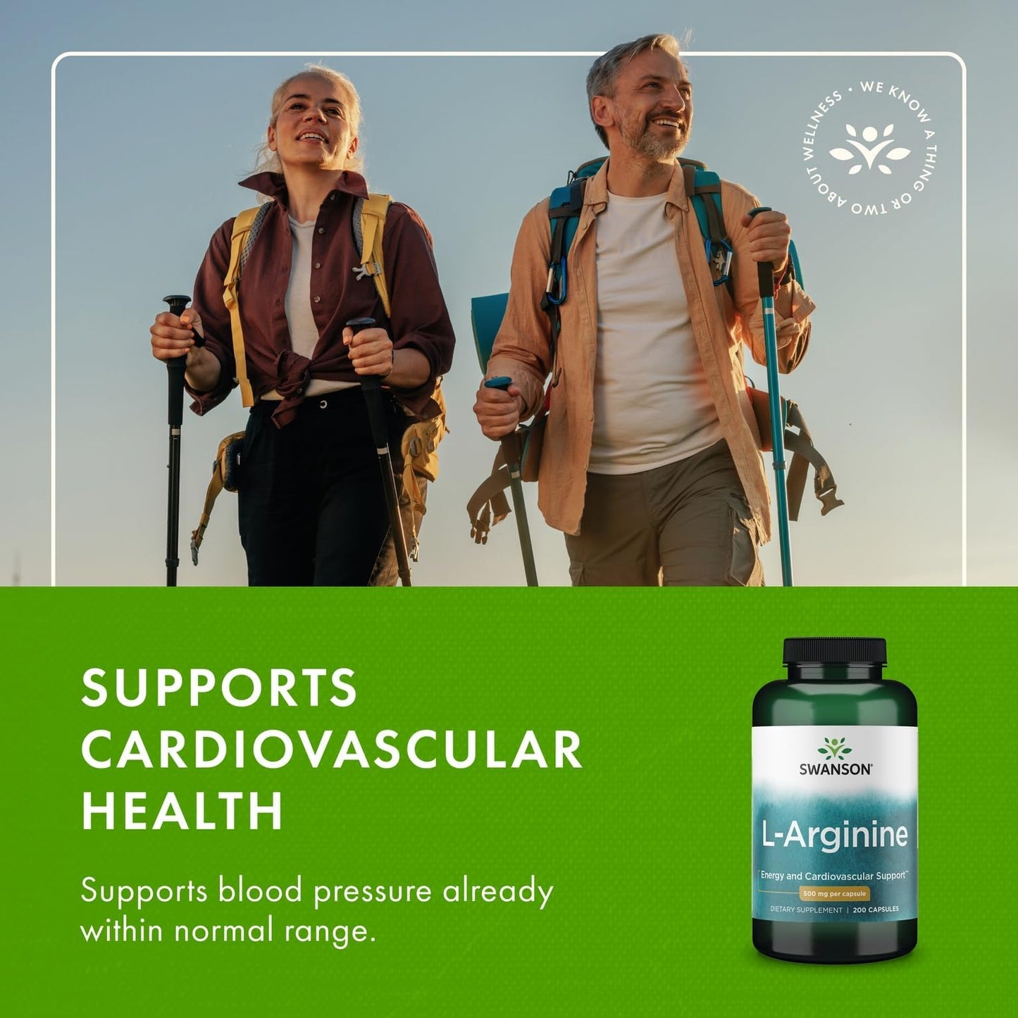 Swanson Amino Acid L-Arginine 500 mg Capsule, 200 Capsules