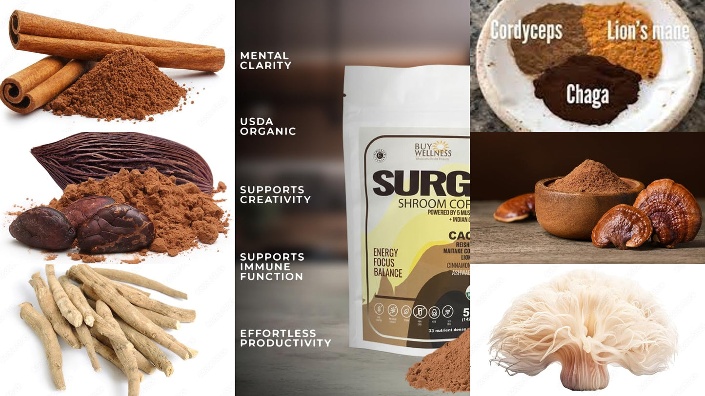 Buy Wellness SURGE 5 Mushroom Cocoa Drink Powder 5.2911