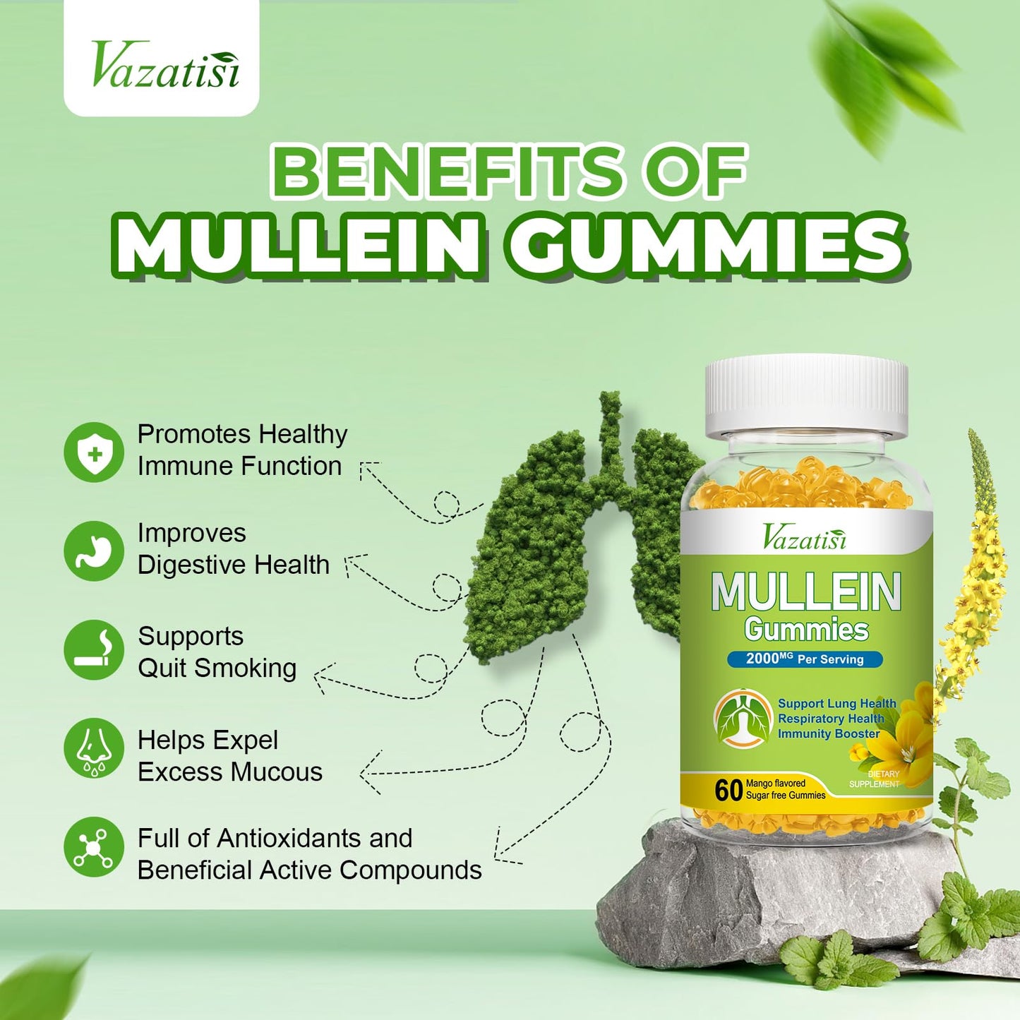 Vazatisi Mullein Gummies Gummy, 60 Count