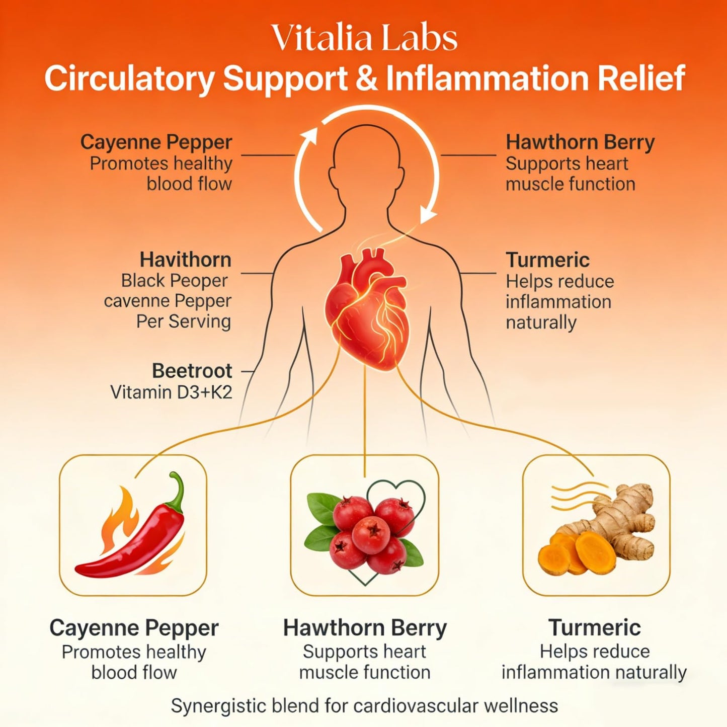 Vitalia Labs Cayenne Pepper Supplement Capsule, 240 Capsules