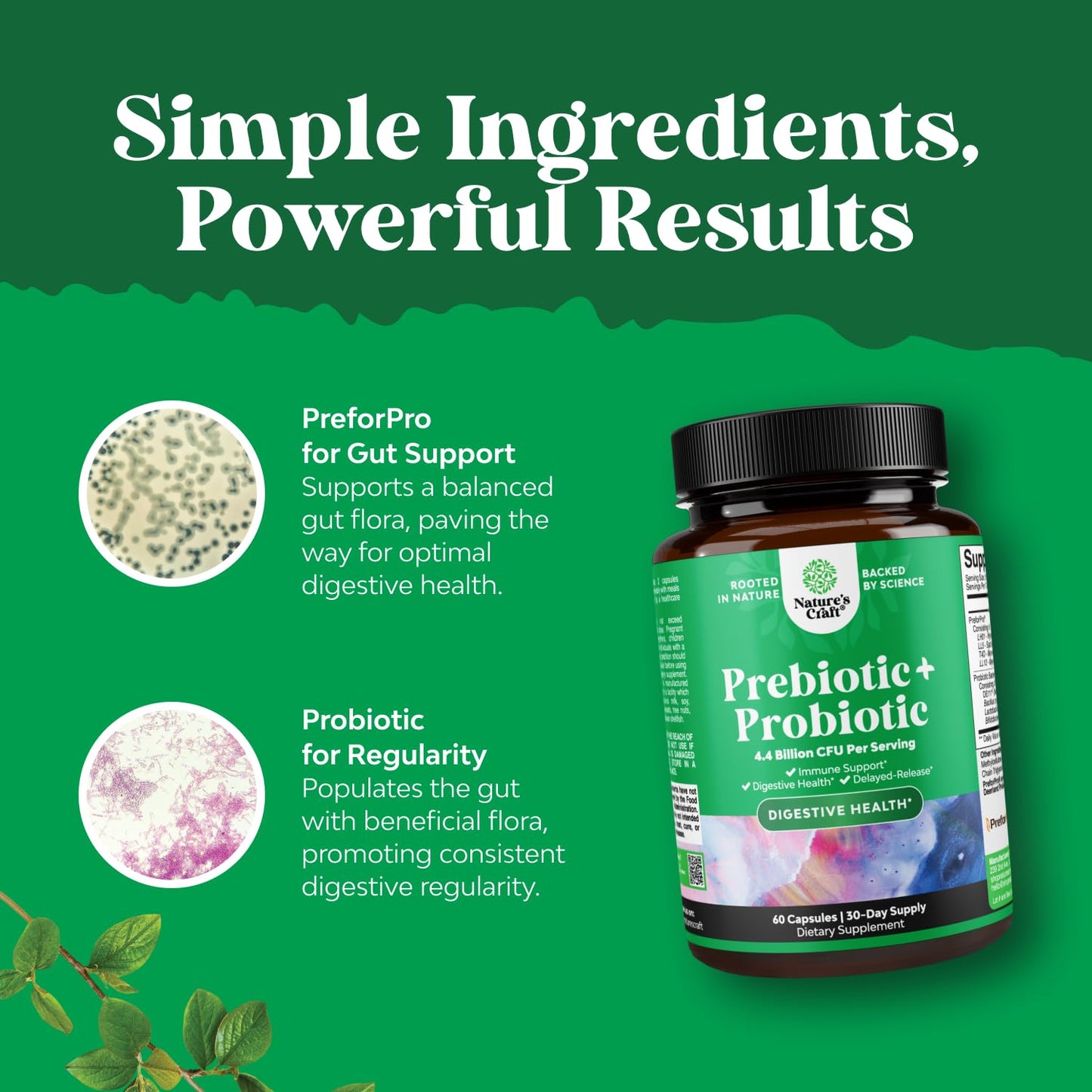 Natures Craft Prebiotics and Probiotics Gut Health Supplement-Super Potent Digestive Health Acidophilus Probiotic Capsules with Men & Womens Probiotics & Prebiotics for Colon Digestive Support and Immunity, 60 Capsules