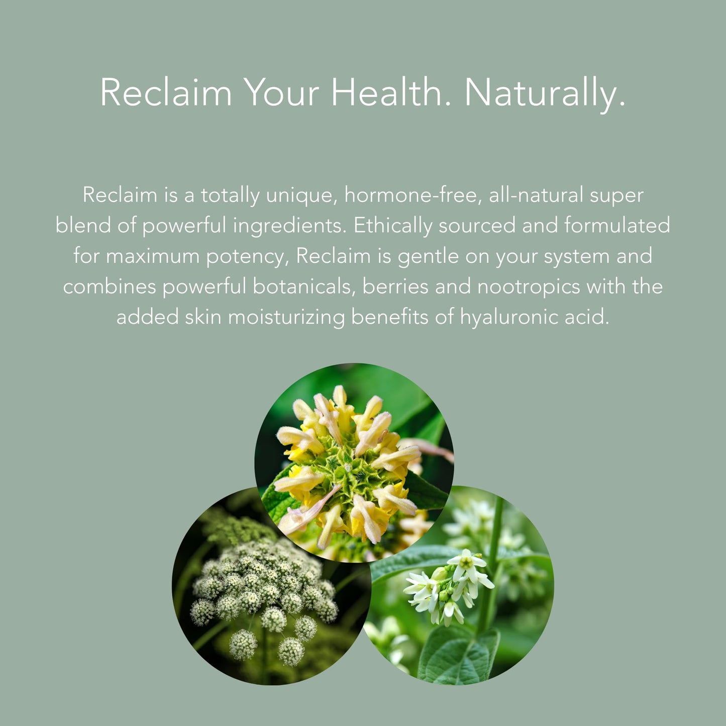 Pure Essentials Reclaim Women's Menopause Supplement 60 Capsules