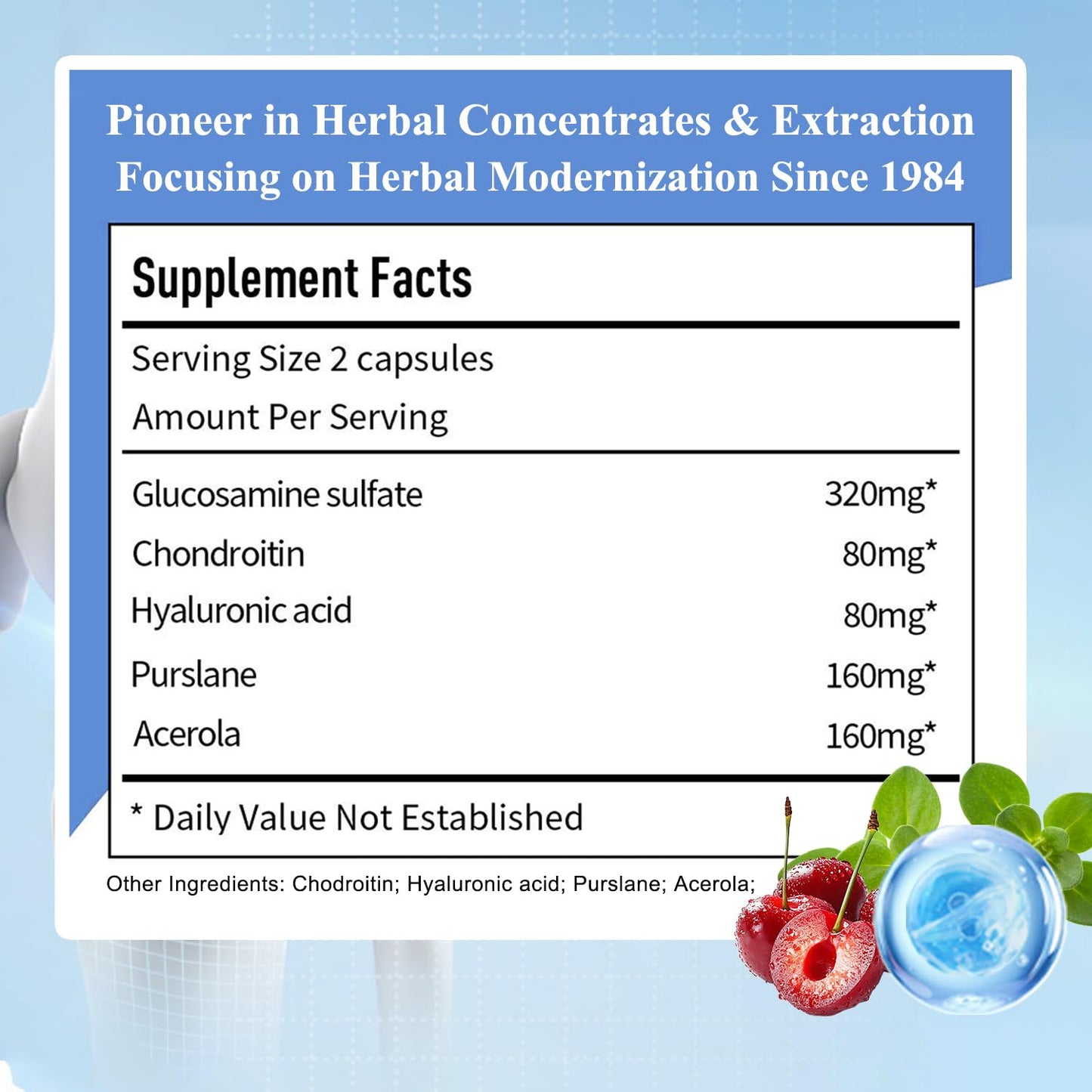 Sino-Sci Joint Choice Joint Support Supplement Capsule, 2 Bottles