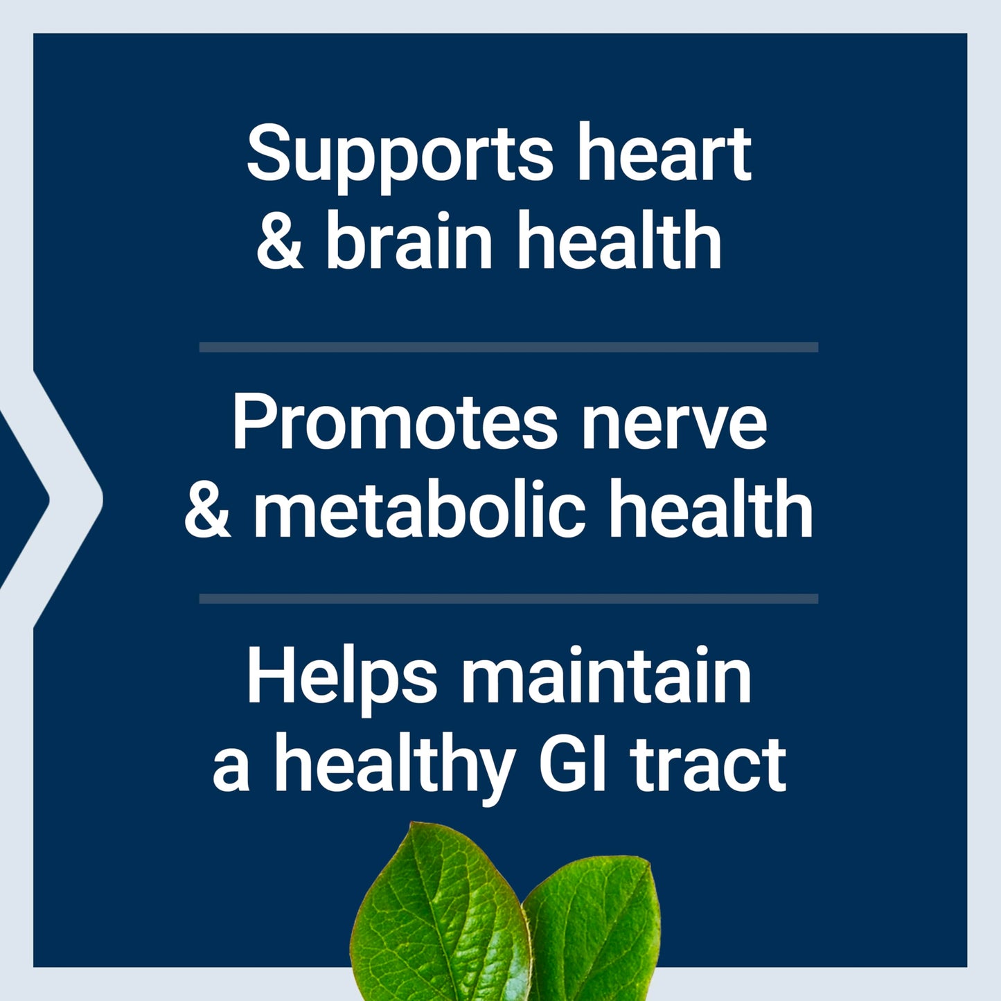 Life Extension BioActive Folate & Vitamin B12 Capsules 90