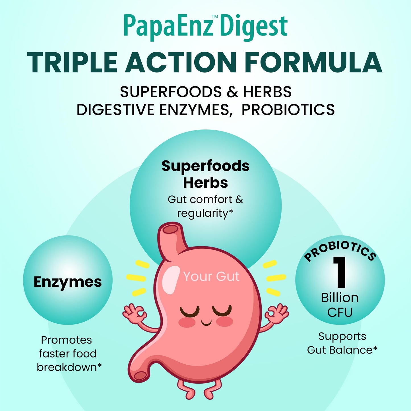 Organic Veda PapaEnz Digest Capsules, 60 Capsules